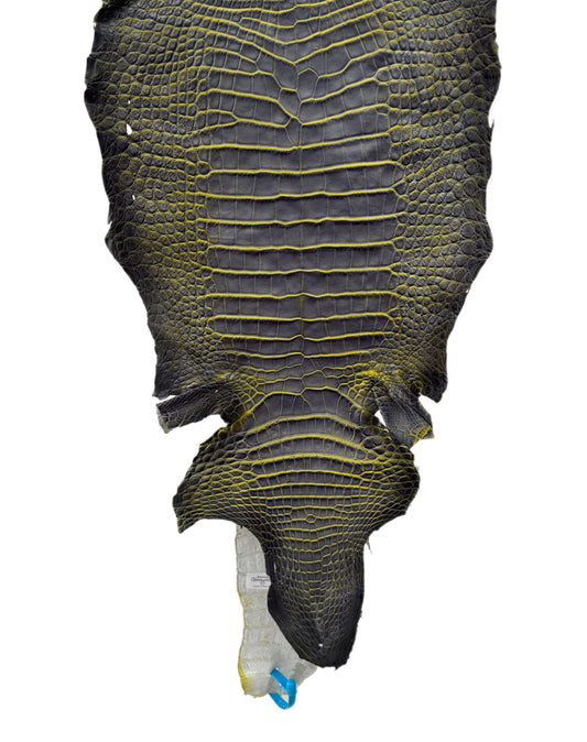 30 cm Grade 2/3 Voltage Matte Wild American Alligator Leather - Tag: ESRE-0050609