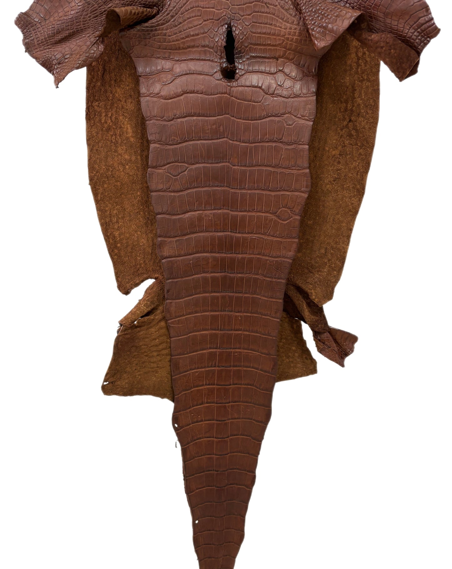 44 cm Grade 3/4 Cigar Matte Wild American Alligator Leather - Tag: LA19-0017928