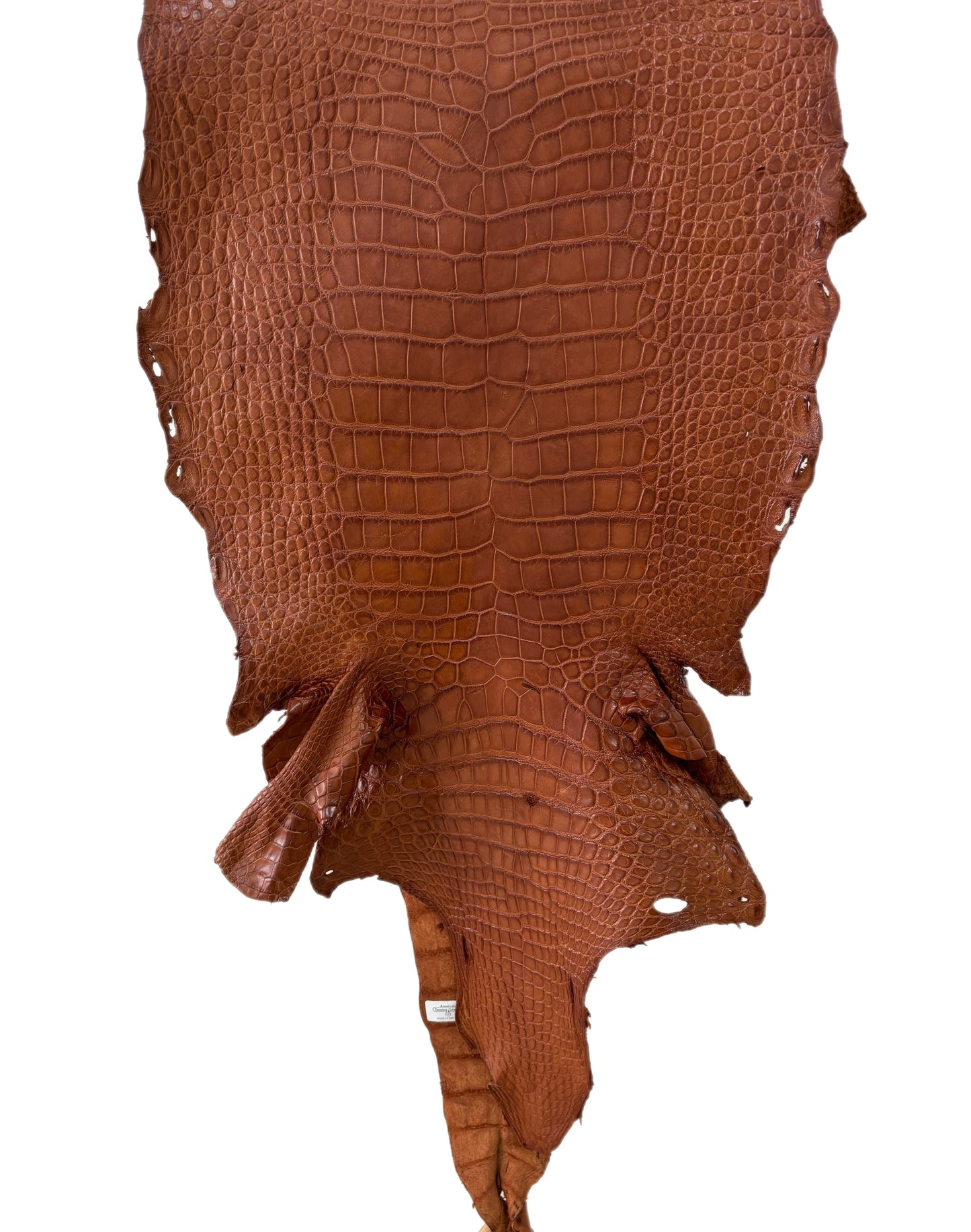 39 cm Grade 4/5 Cognac Matte Wild American Alligator Leather - Tag: LA23-0023833
