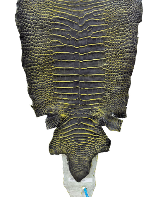 35 cm Grade 2/3 Voltage Matte Wild American Alligator Leather - Tag: ESRE-0050665
