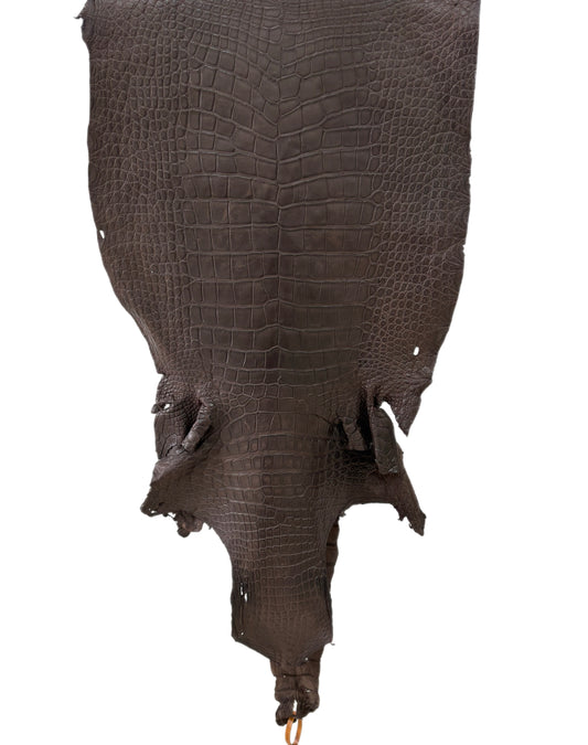 48 cm Grade 4/5 Dark Chocolate Matte Wild American Alligator Leather - Tag: LA23-0048148
