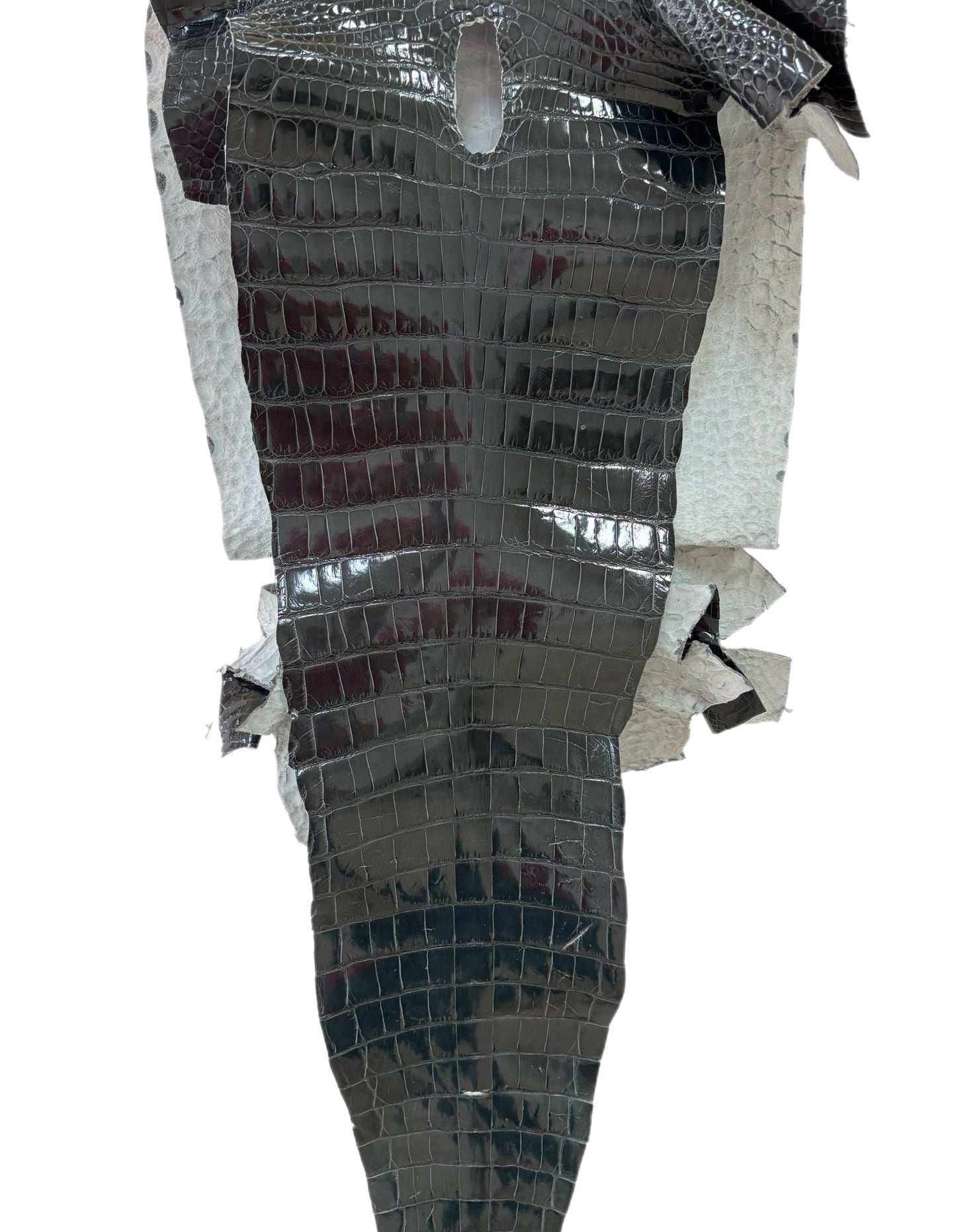 41 cm Grade 1/2 Grey Glazed Farm-Raised American Alligator Leather - Tag: GA14-0021316