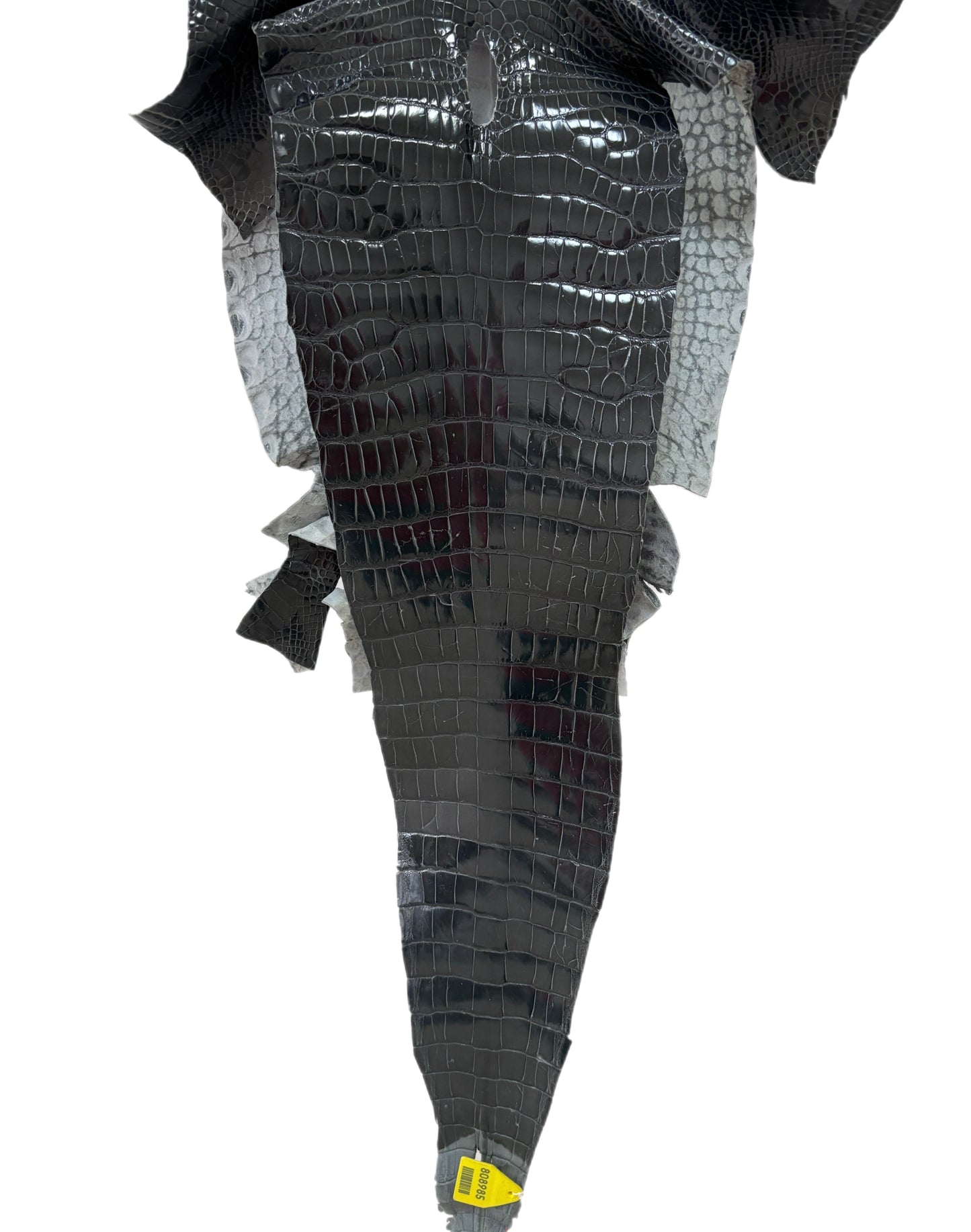 32 cm Grade 2/3 Grey Glazed Farm-Raised American Alligator Leather - Tag: GA14-0021459