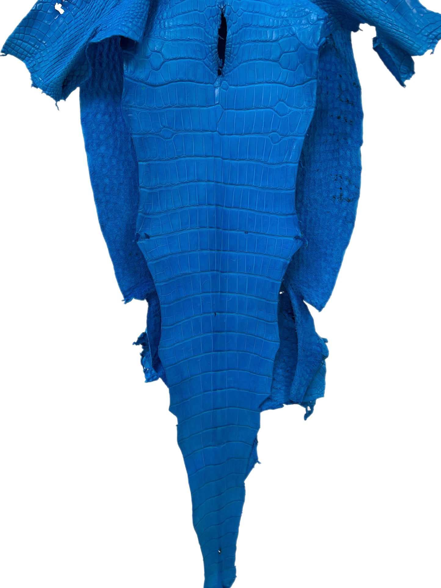 38 cm Grade 3/4 Ultramarine Matte Wild American Alligator Leather - Tag: LA23-0017300