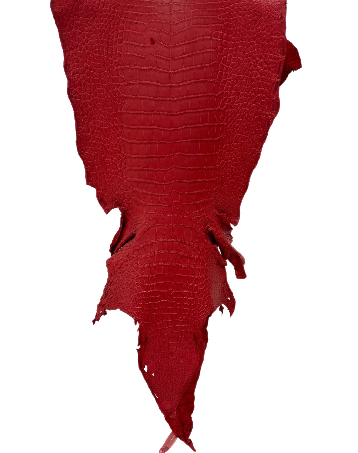 37 cm Grade 3/4 Candy Apple Red Matte Wild American Alligator Leather - Tag: LA23-0003700