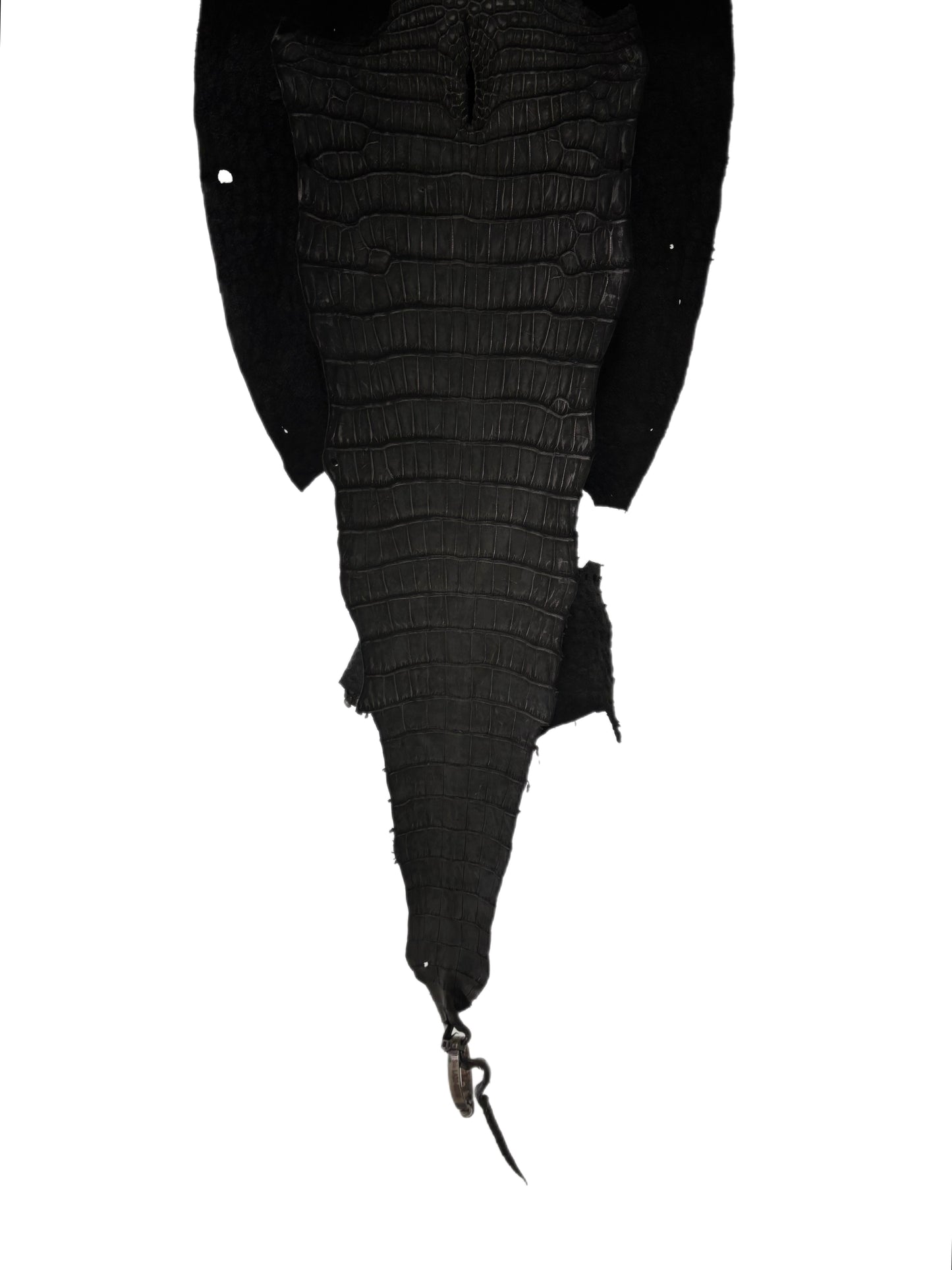 34 cm Grade 3/4 Black Nubuck Wild American Alligator Leather - Tag: LA23-0002798