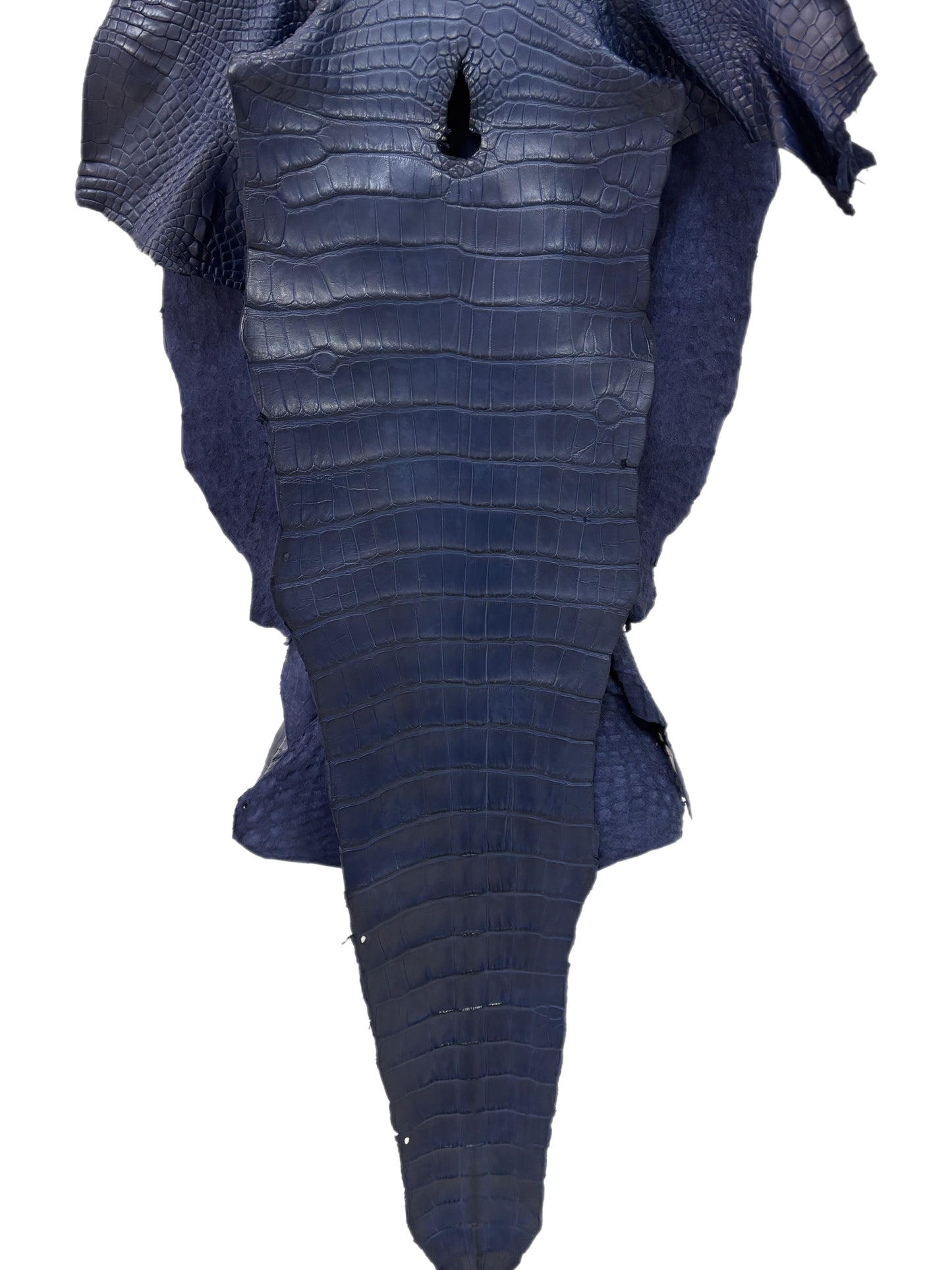 41 cm Grade 1 Navy Blue Desert Wild American Alligator Leather - Tag: LA18-0037616