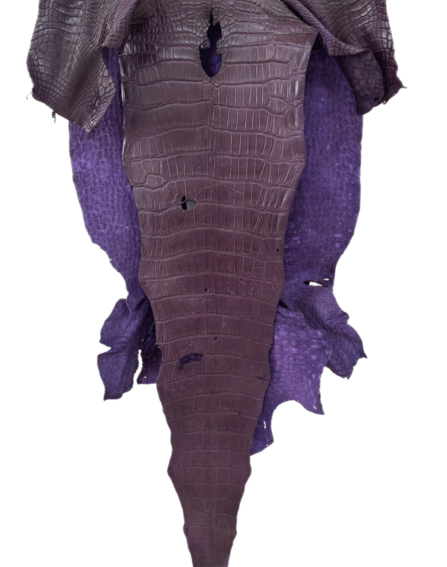 46 cm Grade 4/5 Aubergine Matte Wild American Alligator Leather - Tag: LA23-0023045
