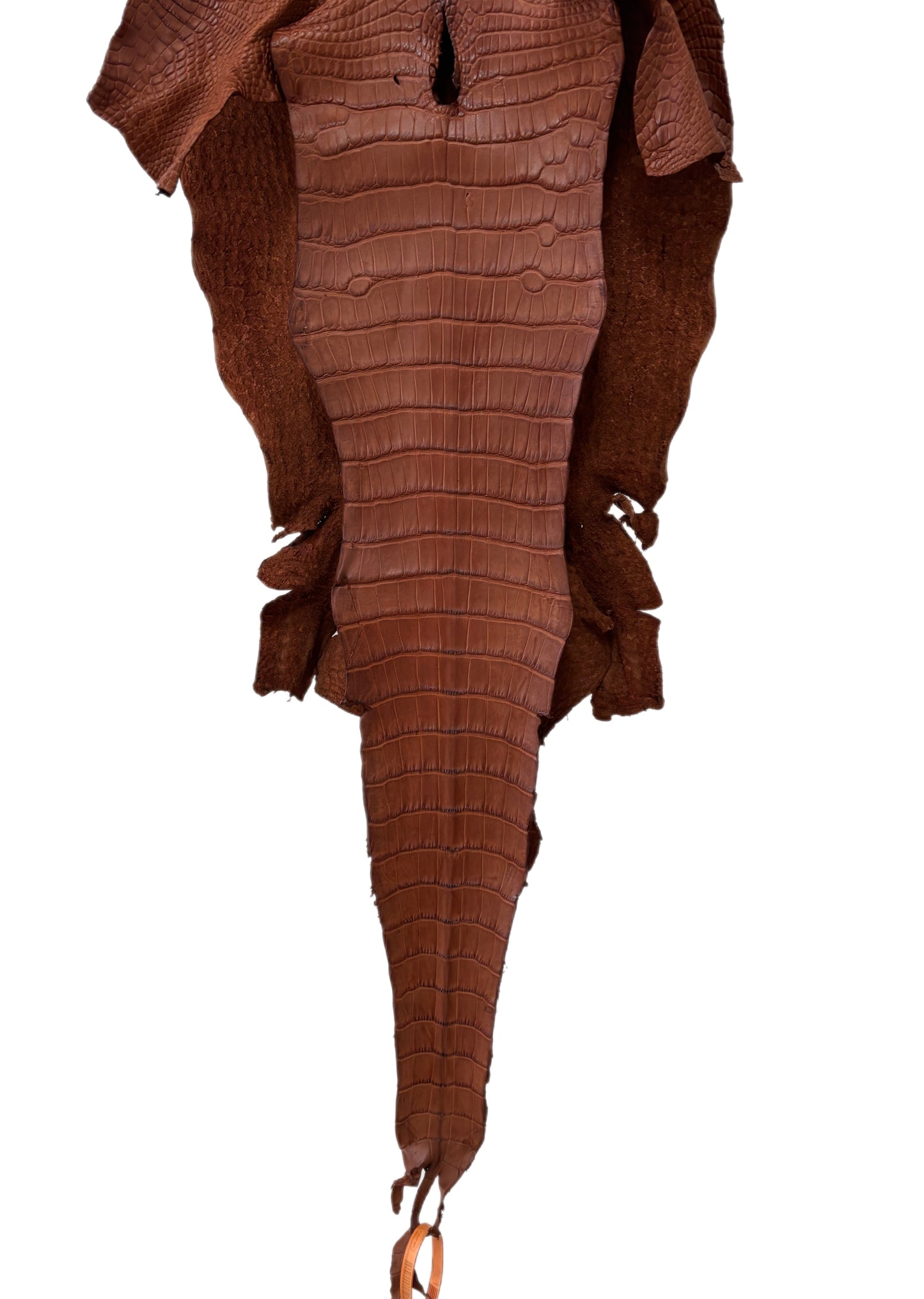32 cm Grade 3/4 Rustic Cognac Matte Wild American Alligator Leather - Tag: LA18-0011928