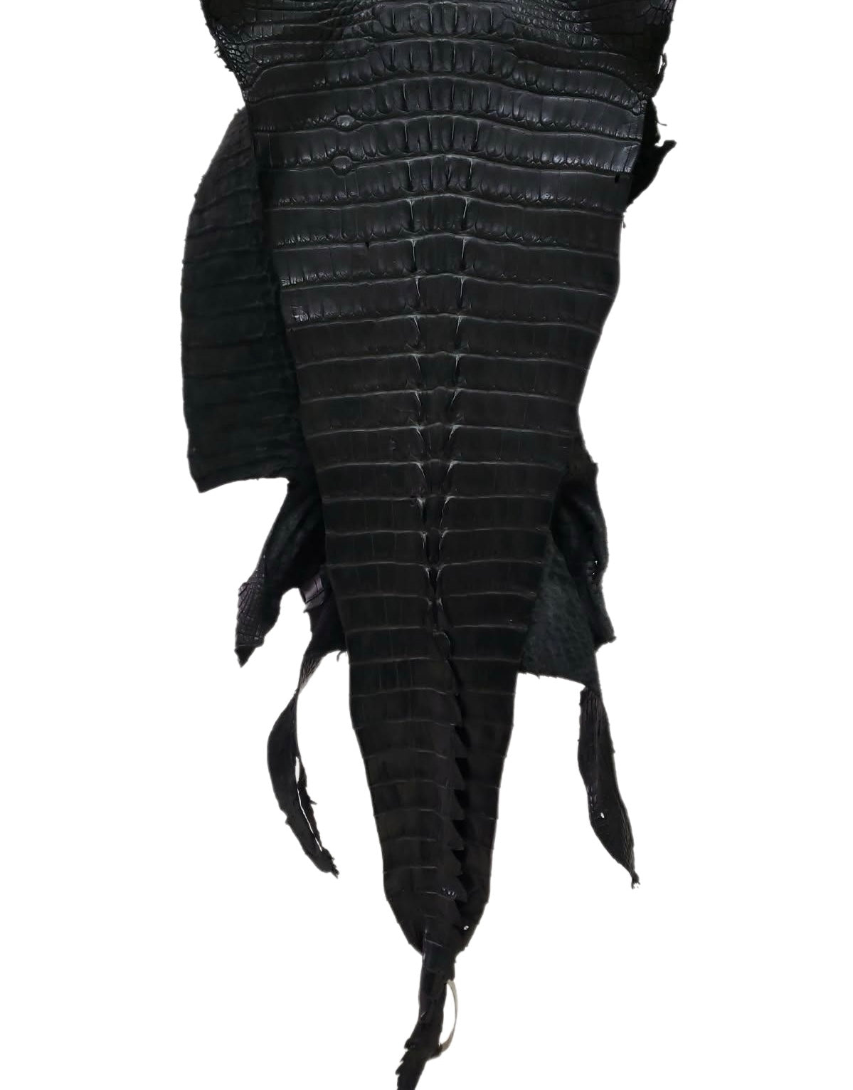 45 cm Grade 1/2 Black Matte Wild American Alligator Hornback Leather - Tag: FL09-0023249