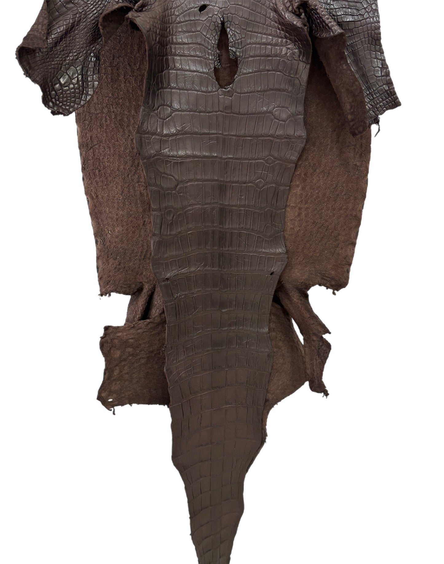 45 cm Grade 2/3 Kralle Brown Matte Wild American Alligator Leather - Tag: LA23-0027776