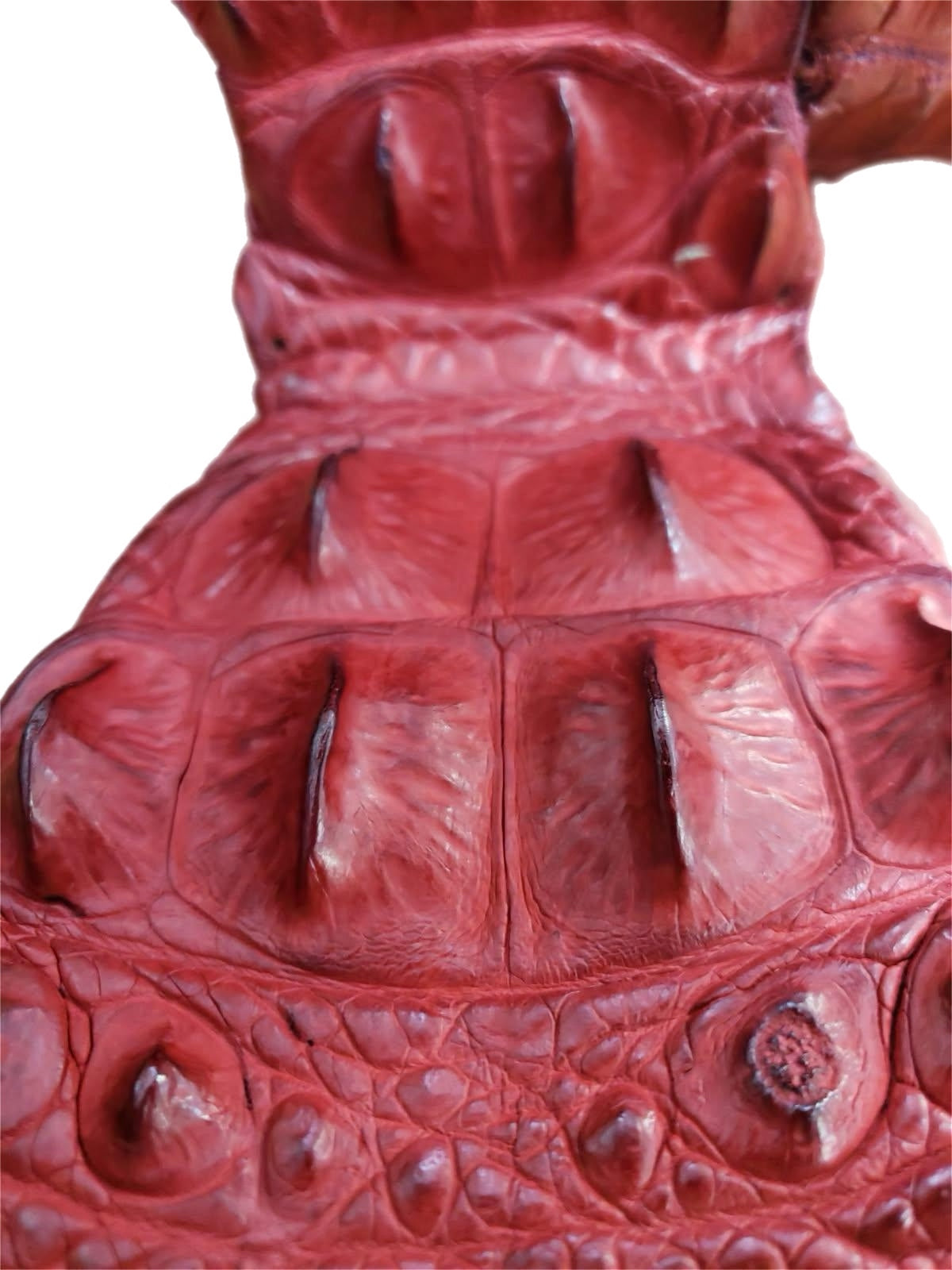 90-99 Cm Grade 1 Red Matte Nile Crocodile Backstrap Leather