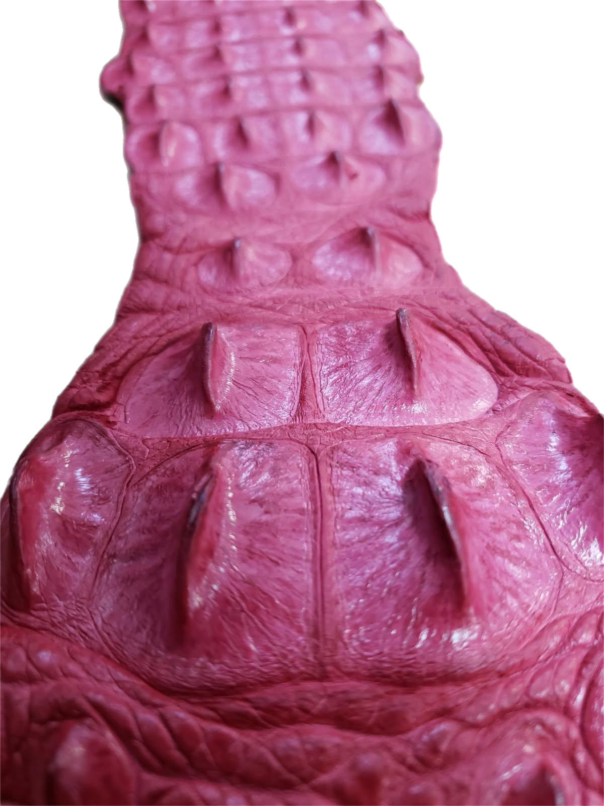 90-99 Cm Grade 1 Bright Pink Matte Nile Crocodile Backstrap Leather
