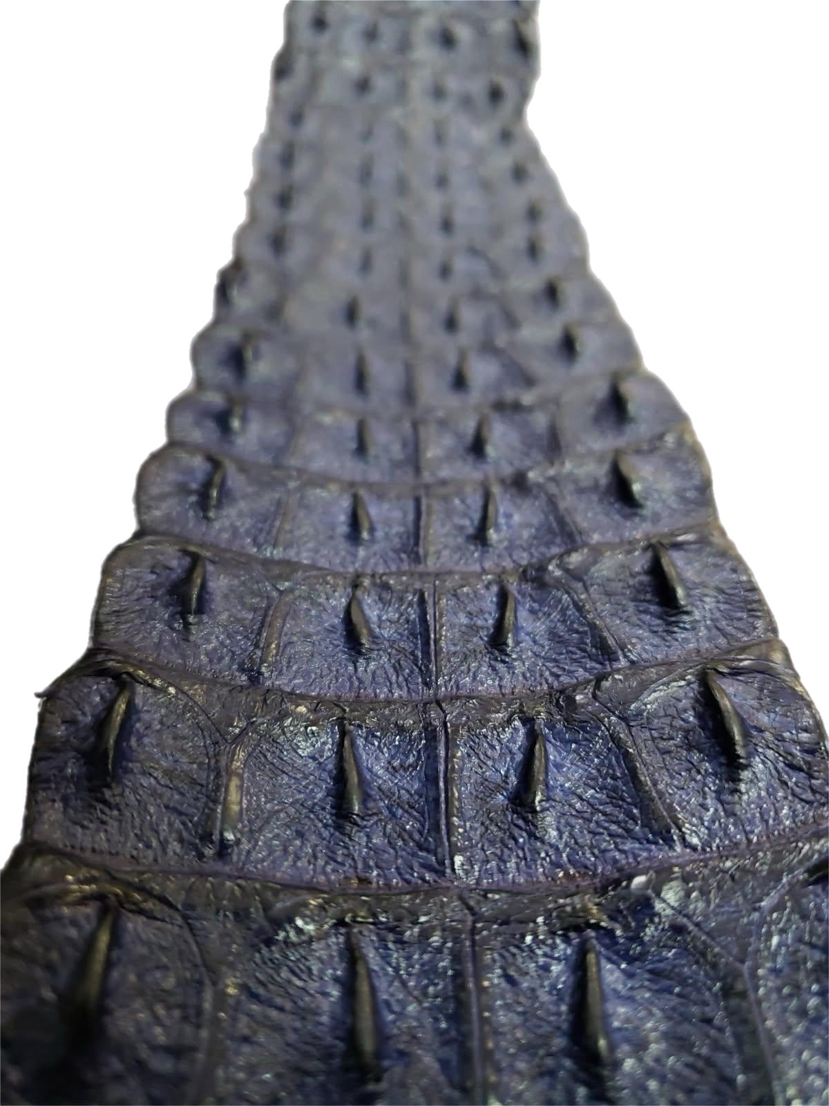 90-99 Cm Grade 1 Fique Matte Nile Crocodile Backstrap Leather