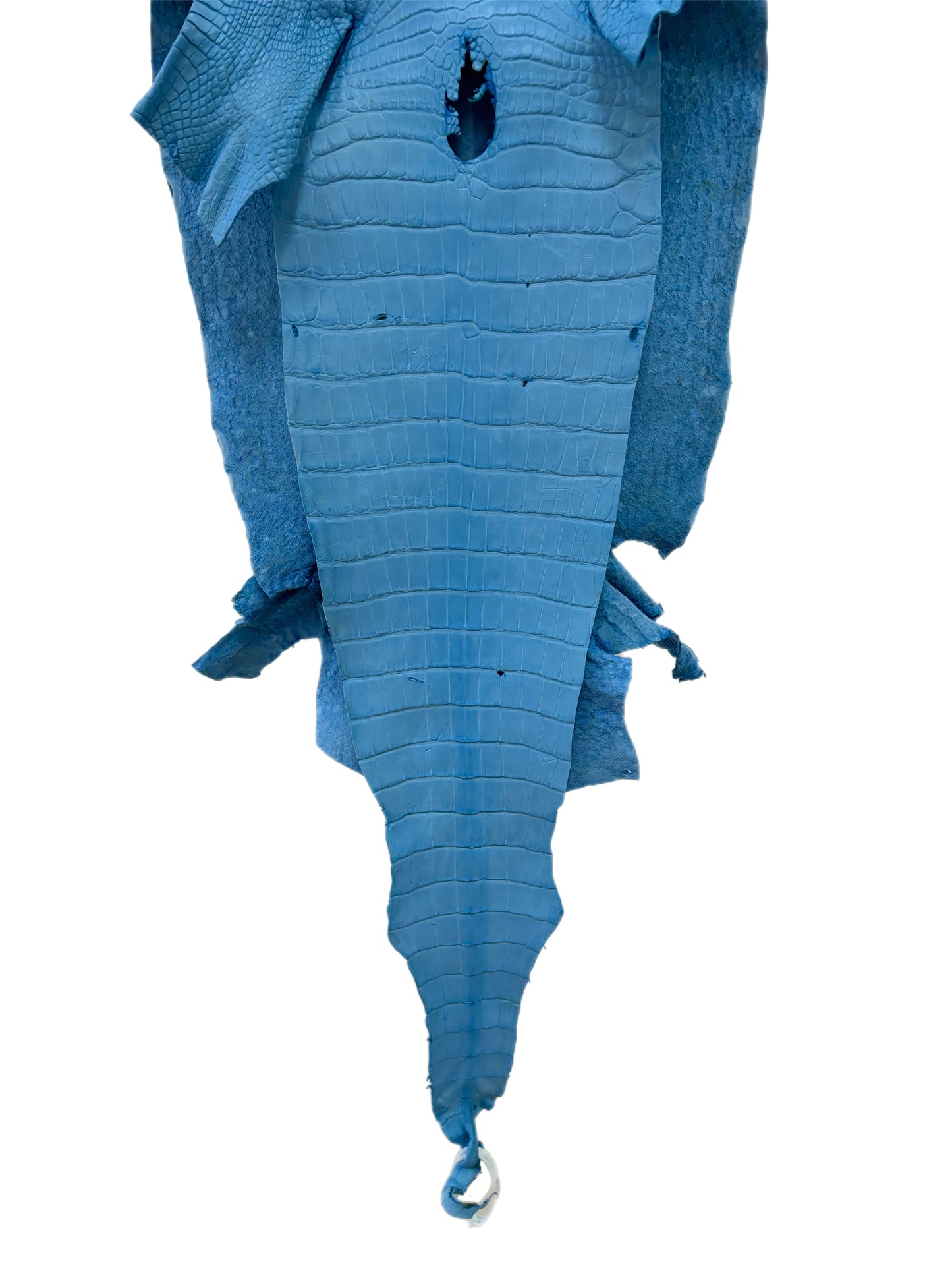 37 cm Grade 3/4 Sky Blue Matte Wild American Alligator Leather - Tag: LA23-0022820