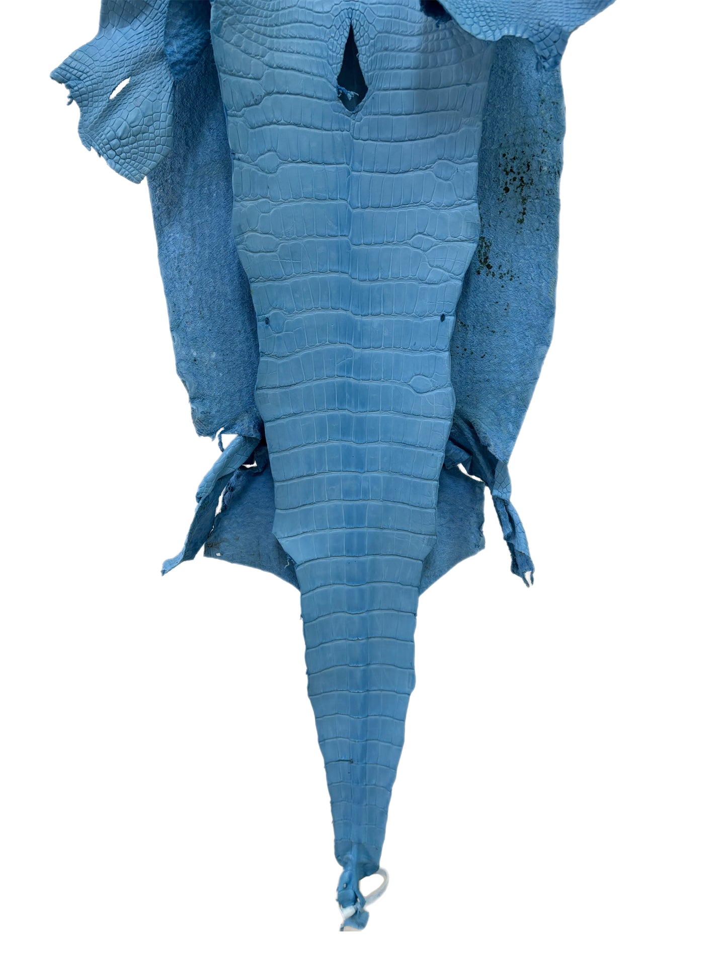 37 cm Grade 3/4 Sky Blue Matte Wild American Alligator Leather - Tag: LA23-0030801