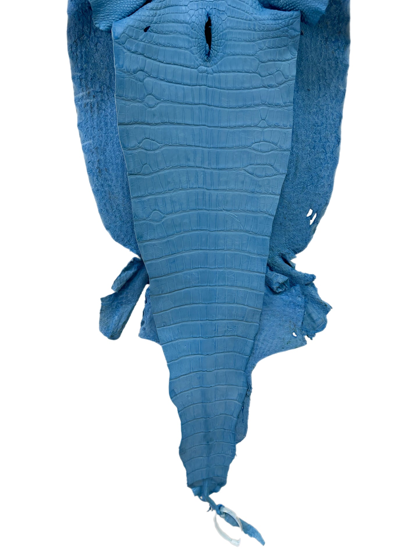 38 cm Grade 3/4 Sky Blue Matte Wild American Alligator Leather - Tag: LA23-0048175