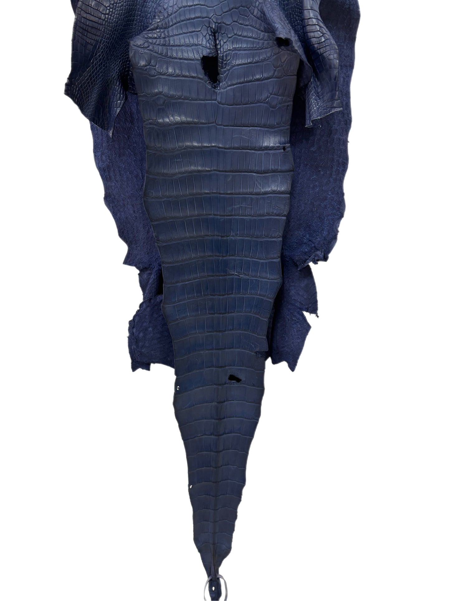 38 cm Grade 1/2 Navy Blue Desert Wild American Alligator Leather - Tag: LA18-0030650