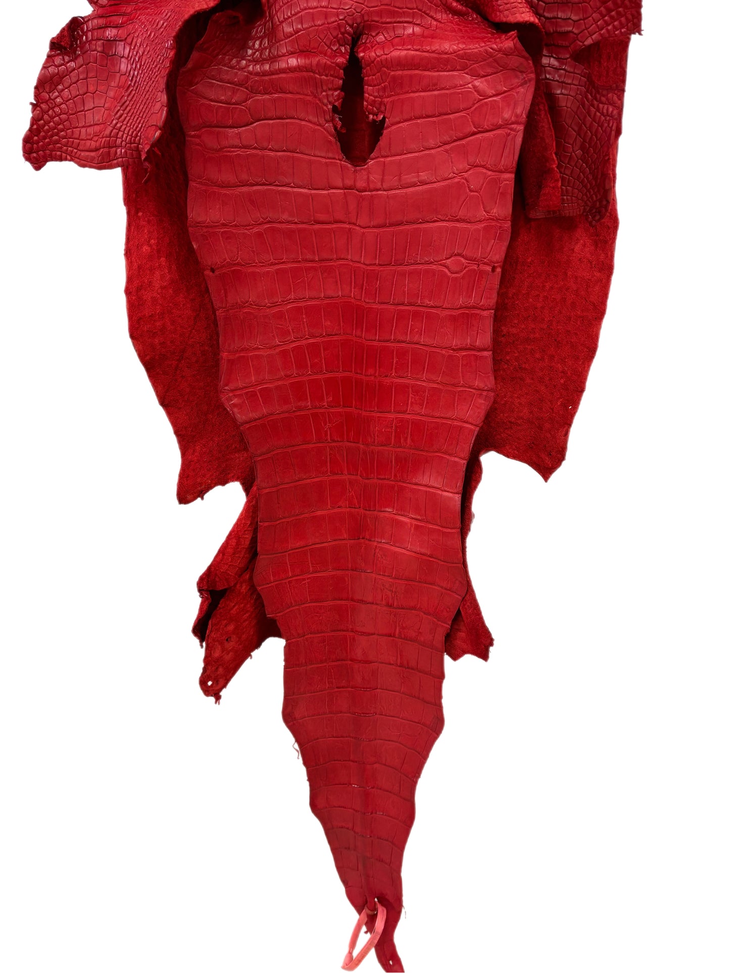 45 cm Grade 4/5 Candy Apple Red Matte Wild American Alligator Leather - Tag: LA24-0022361