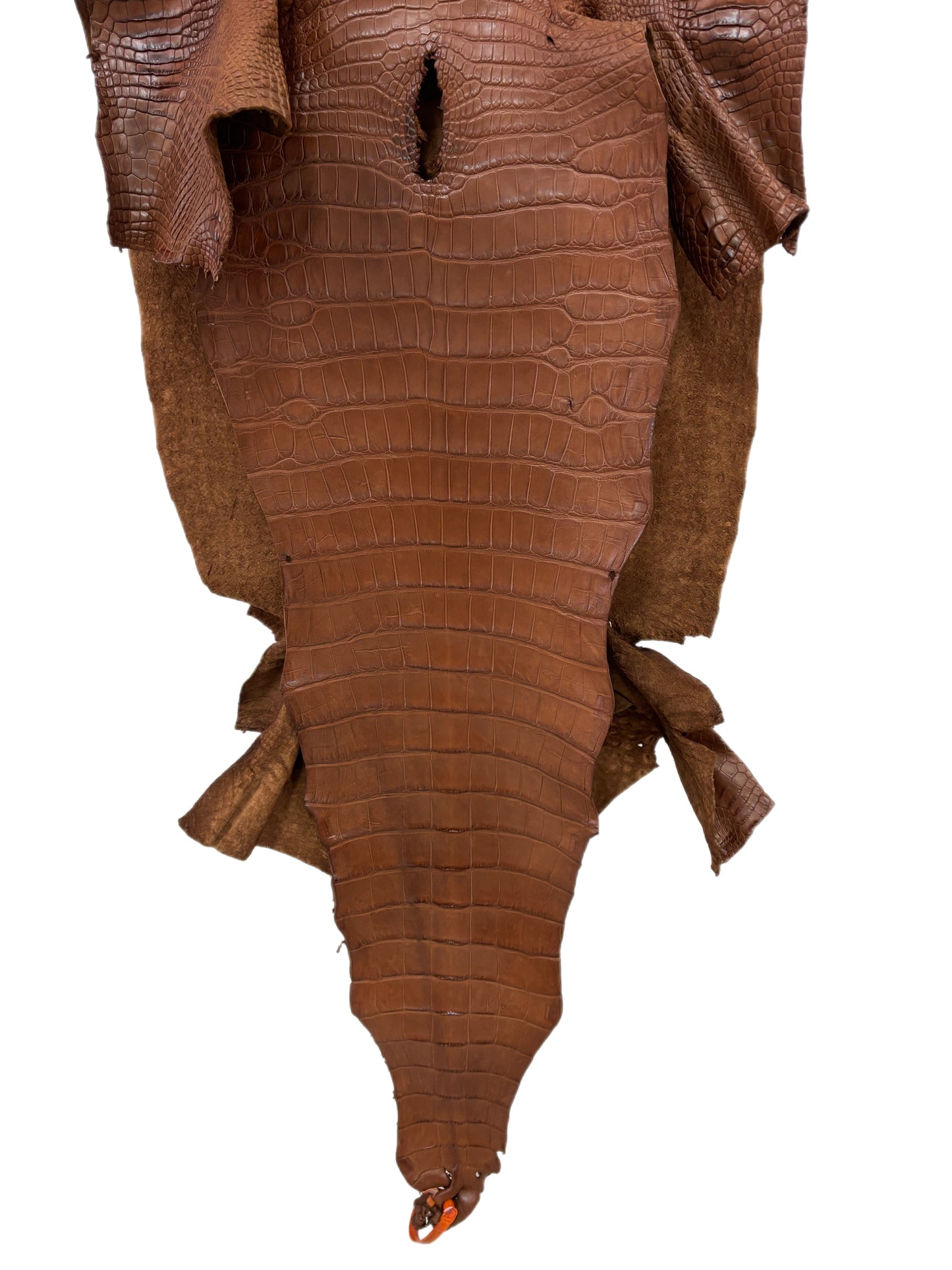 50 cm Grade 3/4 Cigar Matte Wild American Alligator Leather - Tag: LA24-0041850