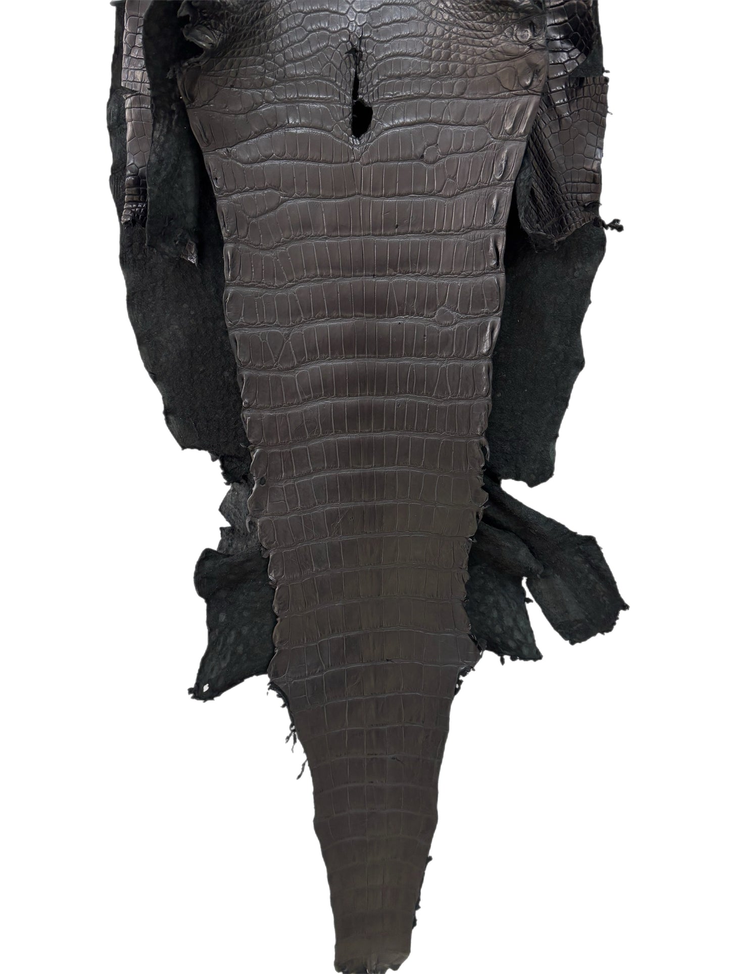39 cm Grade 3/4 Black Matte Wild American Alligator Leather - Tag: LA22-0021079