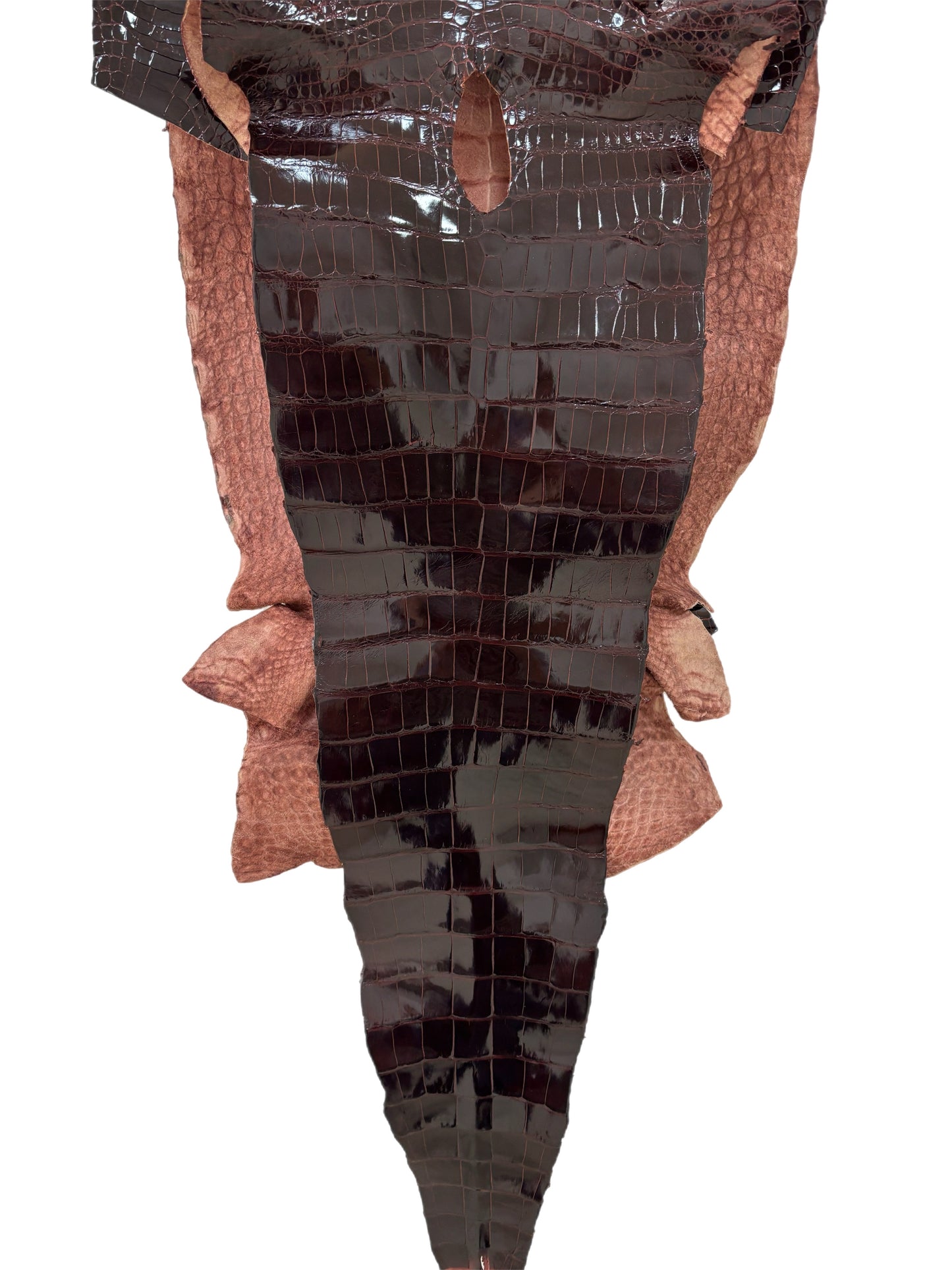 43 cm Grade 1/2 Cordovan Glazed Wild American Alligator Leather - Tag: LA15-0040210