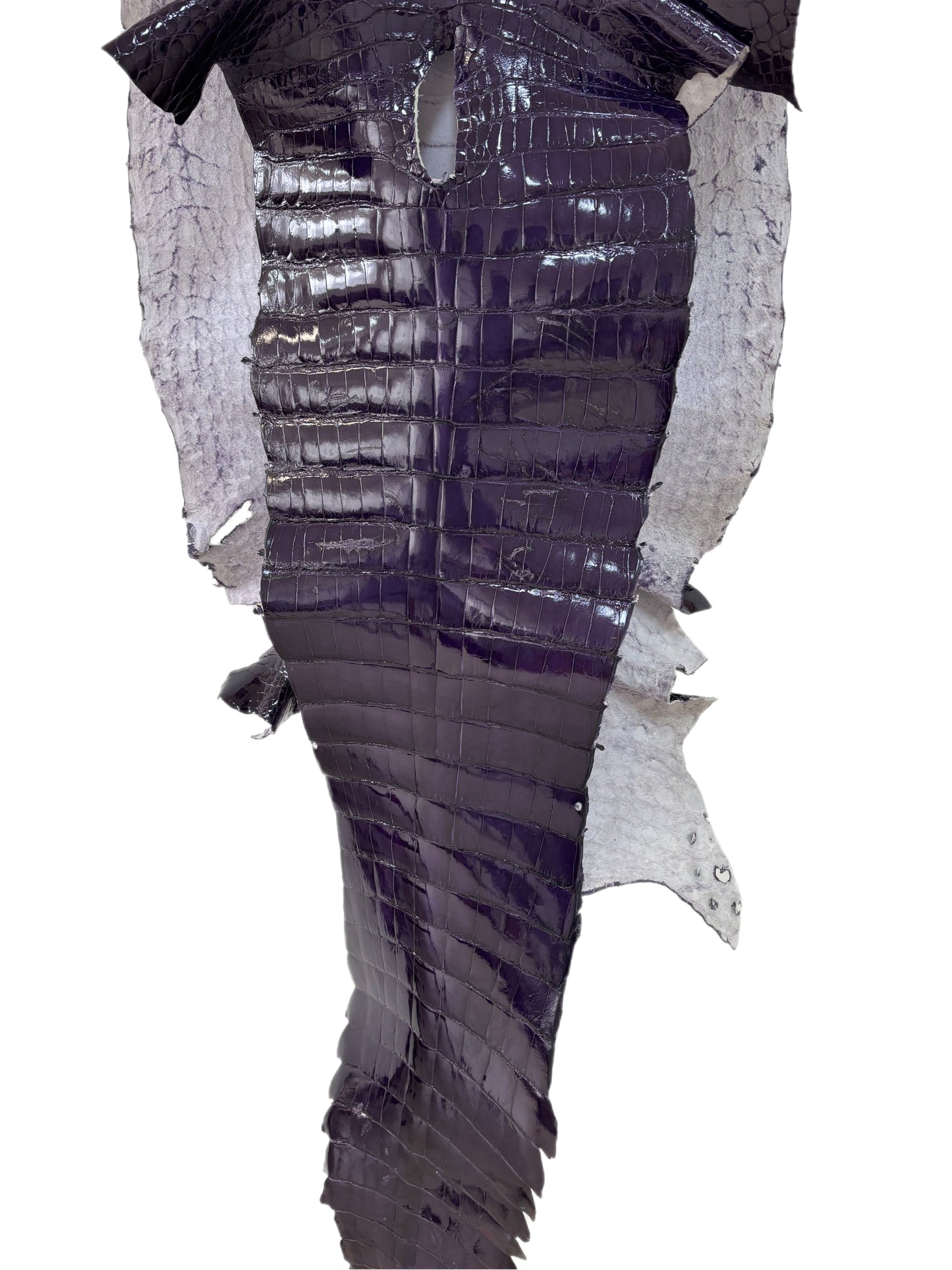 46 cm Grade 1/2 Viola Glazed Wild American Alligator Leather - Tag: FL14-0030055