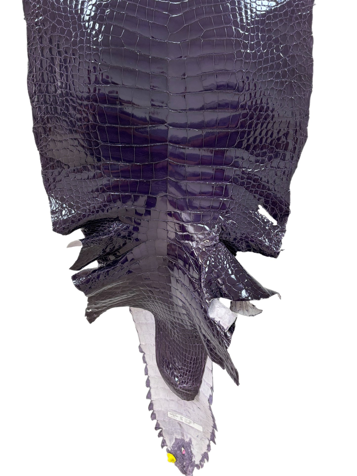 46 cm Grade 1/2 Viola Glazed Wild American Alligator Leather - Tag: FL14-0030055