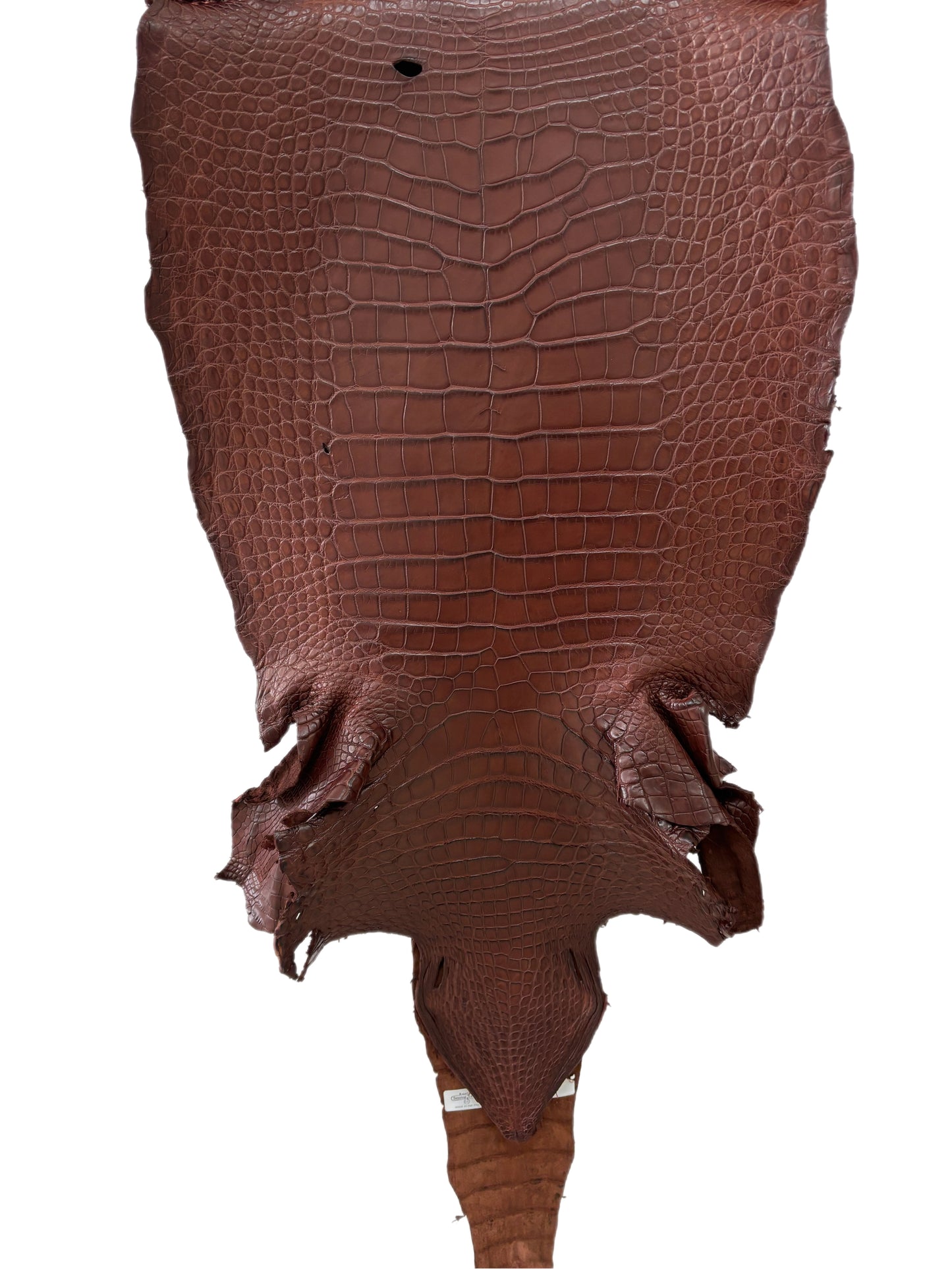 38 cm Grade 3/4 Italian Gold Matte Wild American Alligator Leather - Tag: LA18-0053095