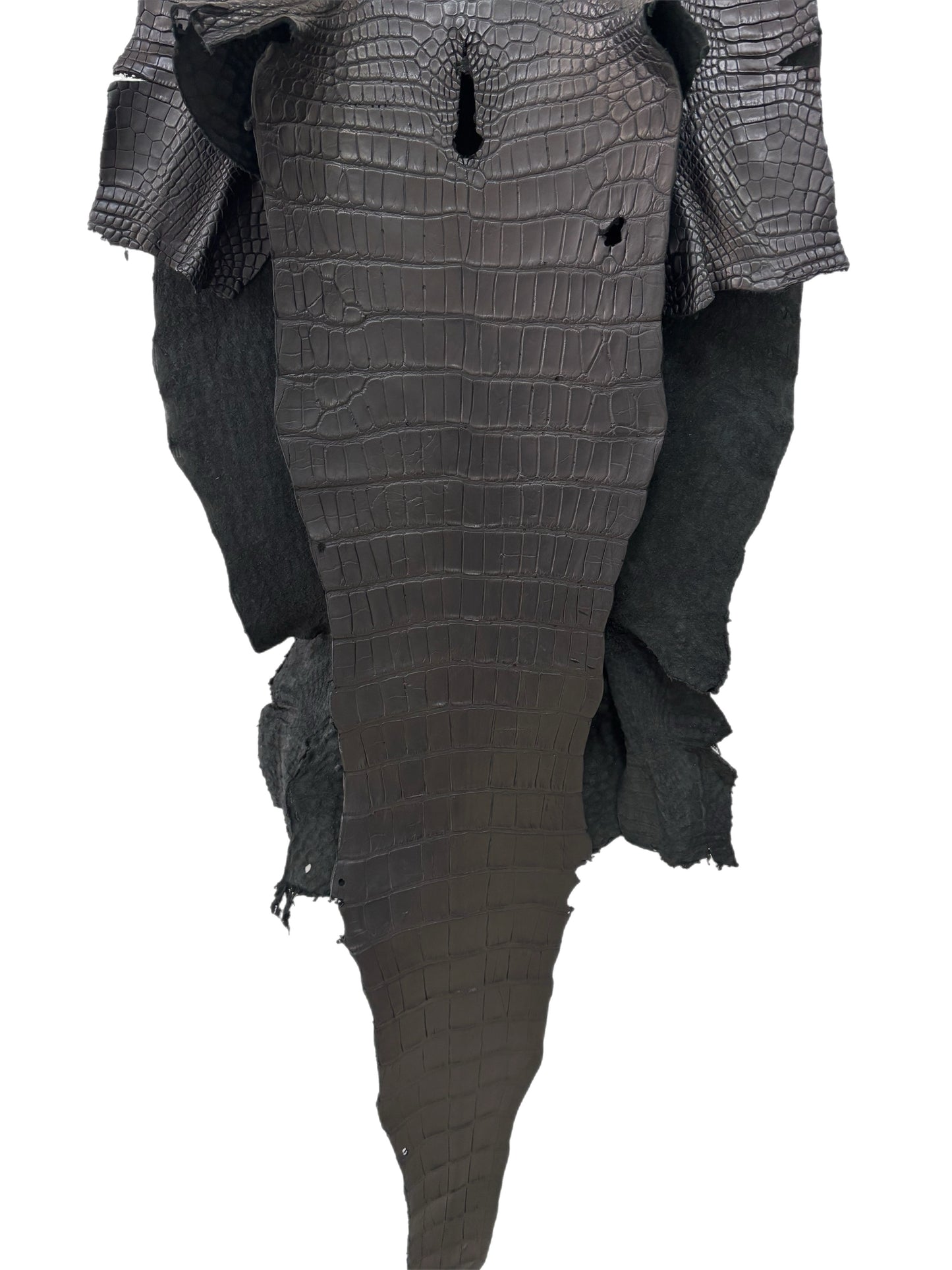 44 cm Grade 3/4 Black Matte Wild American Alligator Leather - Tag: LA18-0036179