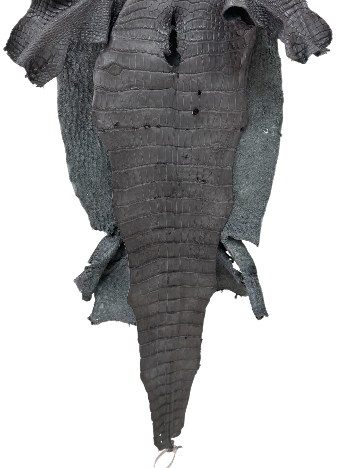 43 cm Grade 3/4 Serpentine Grey Matte Wild American Alligator Leather - Tag: LA23-0003730