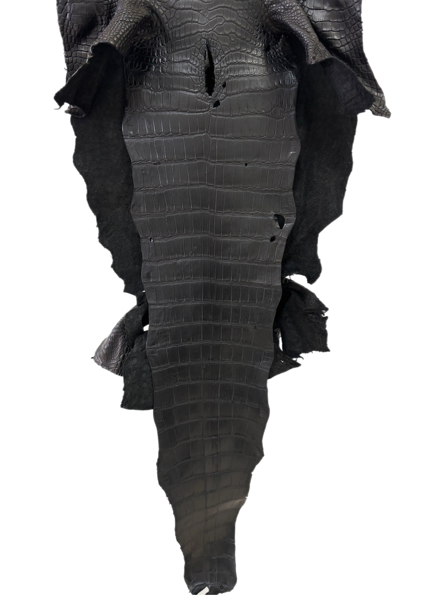 38 cm Grade 3/4 Black Matte Wild American Alligator Leather - Tag: MS24-0000584
