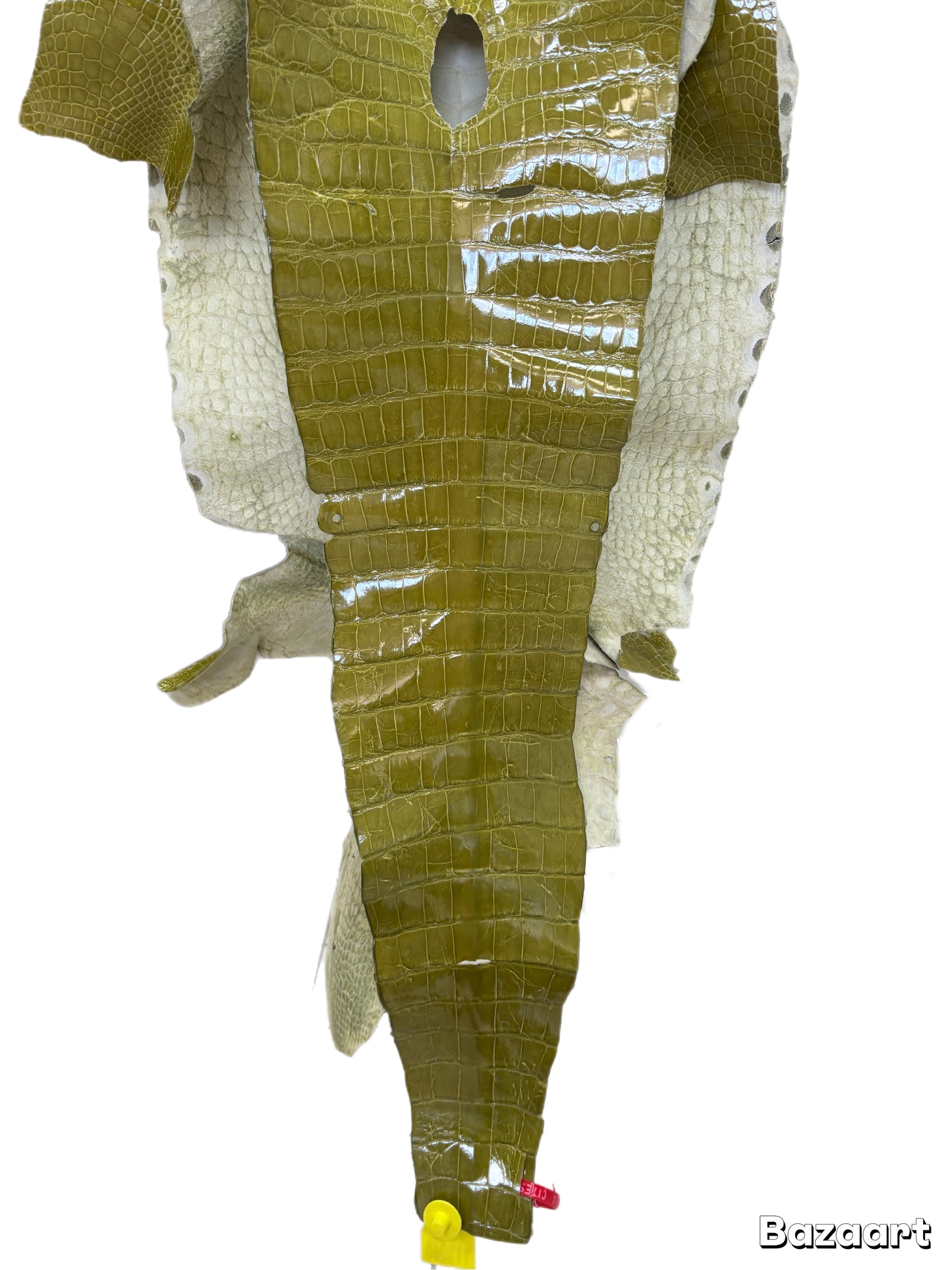 CLOSEOUT | 41 cm Grade 2/3 Muguet Glazed Wild American Alligator Leather - Tag: CCIT-0539954
