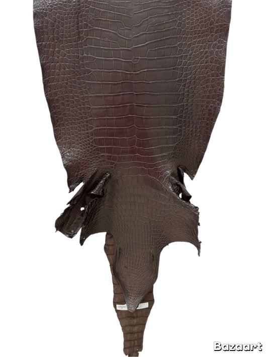 43 cm Grade 2/3 Kralle Brown Matte Wild American Alligator Leather - Tag: LA23-0030857