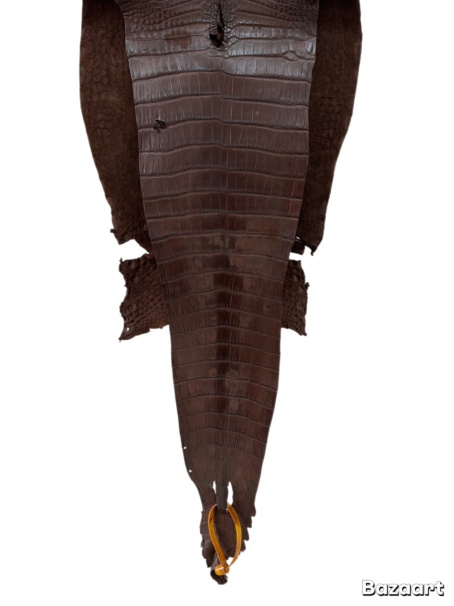 CLOSEOUT | 24 cm Grade 4/5 Chocolate Matte Farm Raised American Alligator Leather - Tag: FL22-0030052