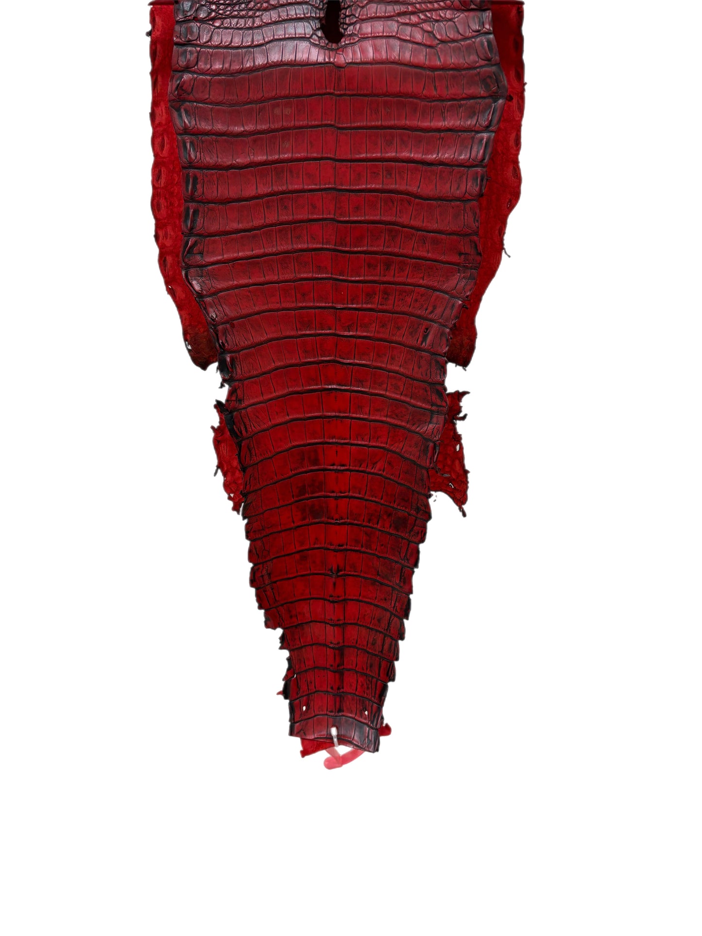 26 cm Grade 1/2 Candy Apple Red Antique Farm-raised American Alligator Leather - Tag: FL21-0024819