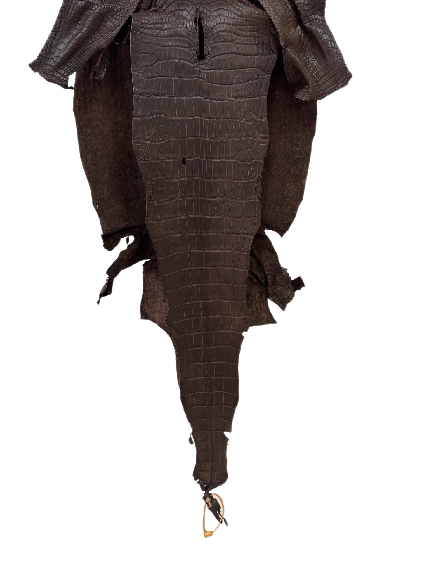 38 cm Grade 2/3 Chocolate Matte Wild American Alligator Leather - Tag: LA23-0015056