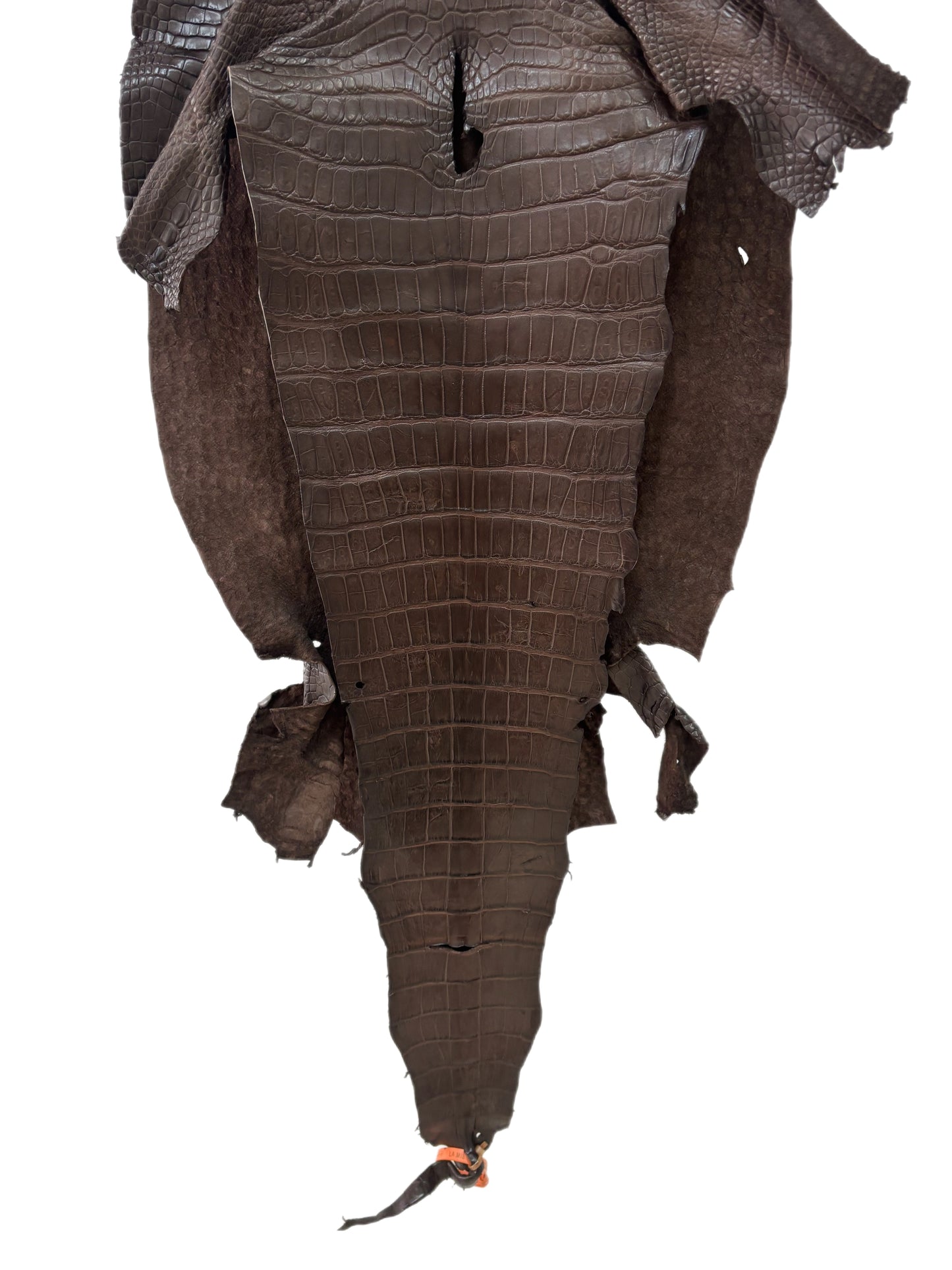 44 cm Grade 3/4 Chocolate Matte Wild American Alligator Leather - Tag: LA24-0022428