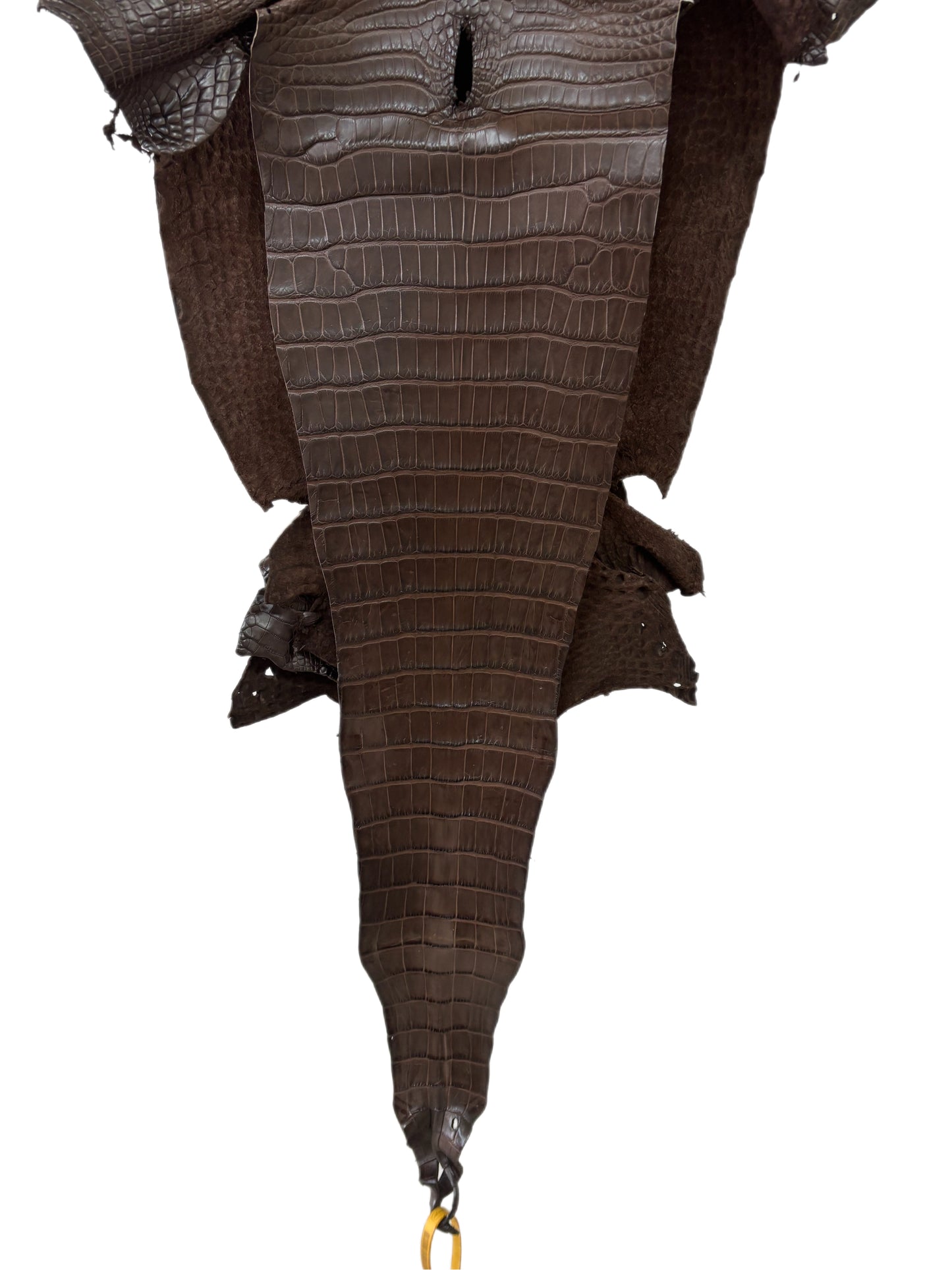 34 cm Grade 1 Chocolate Matte Farm-Raised American Alligator Leather - Tag: FL16-0031681