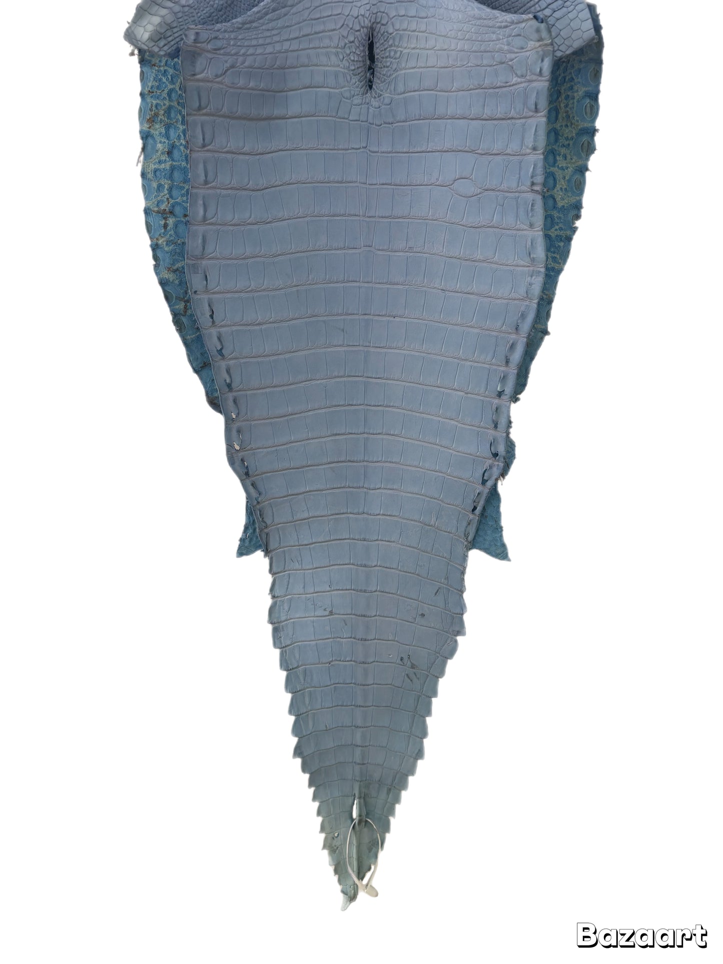 40 cm Grade 1 Carolina Blue Matte Farm Raised American Alligator Leather - Tag: FL17-0052771