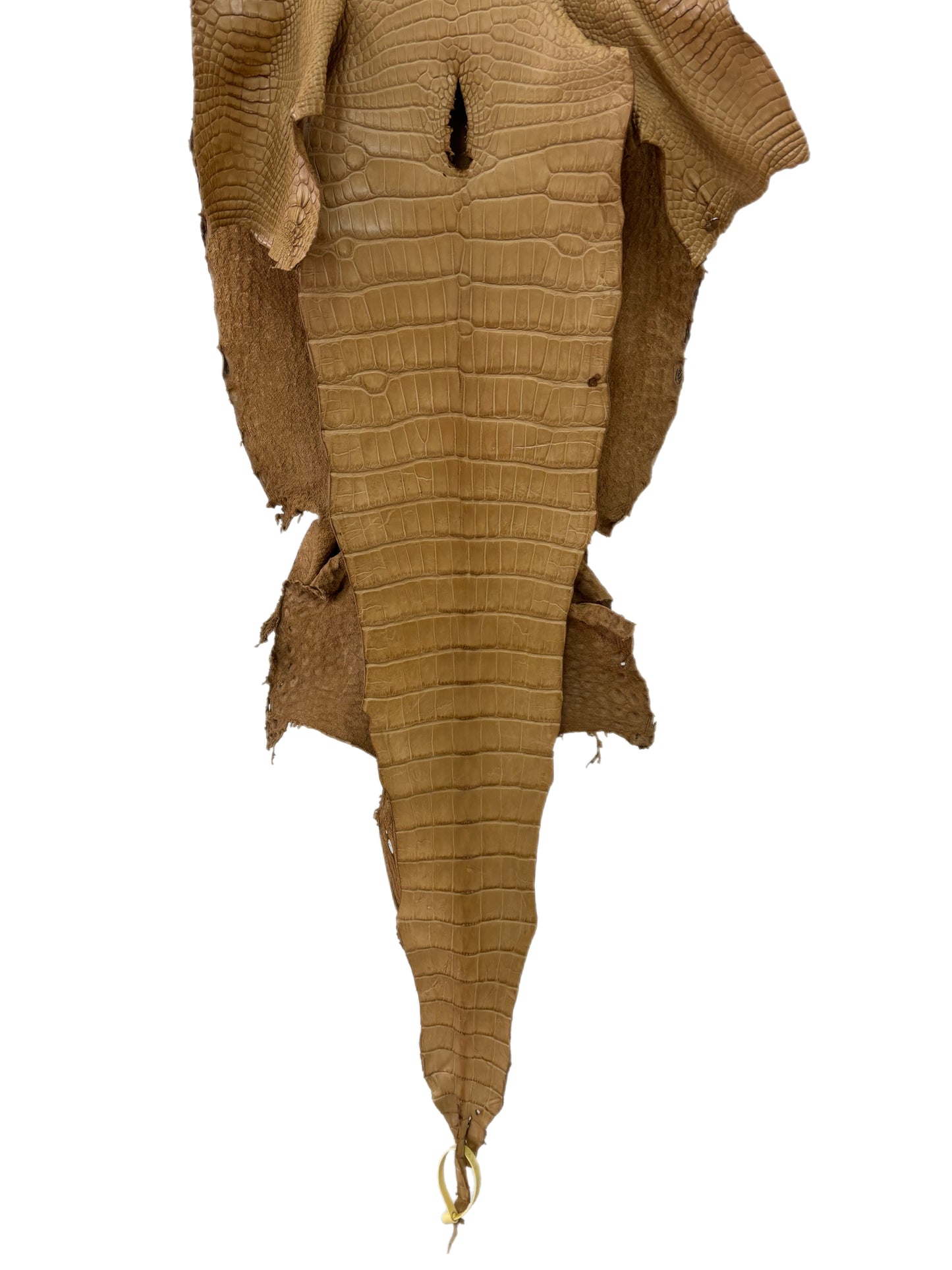 39 cm Grade 3/4 Antique Saddle Matte Wild American Alligator Leather - Tag: LA16-0036649