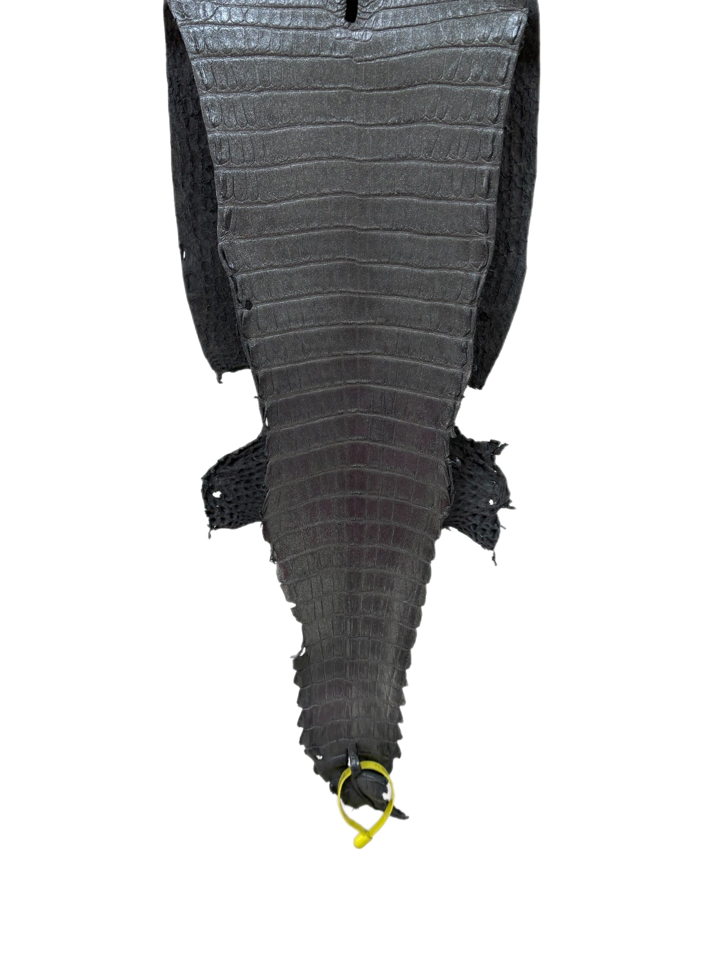 26 cm Grade 1/2 Gunmetal Matte Farm-Raised American Alligator Leather - Tag: FL22-0030355