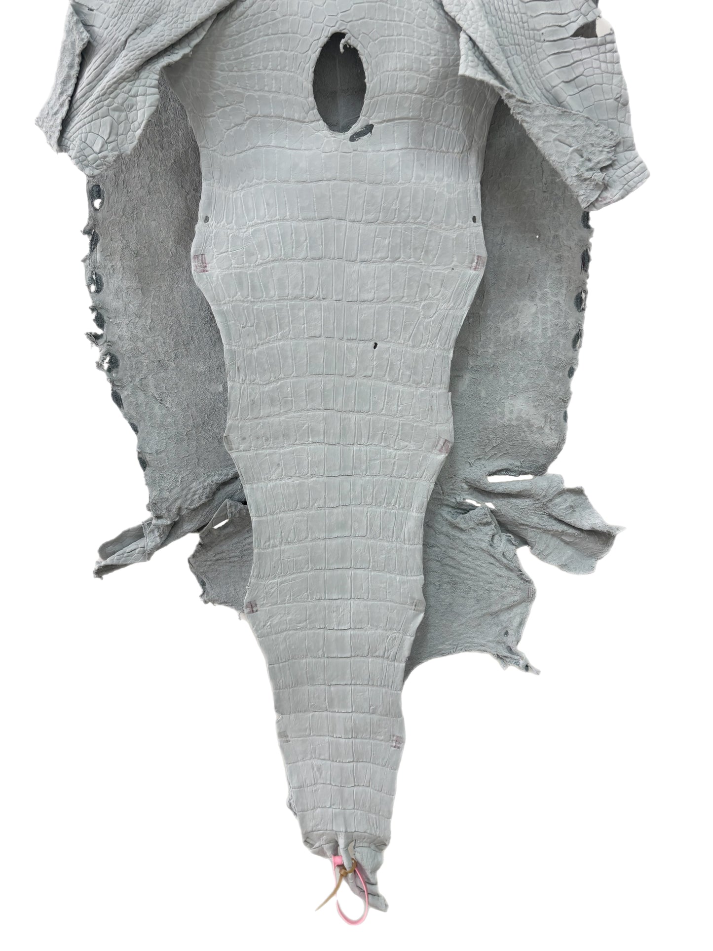 50 cm Grade 4/5 White Crust Wild American Alligator Leather - Tag: LA24-0022117