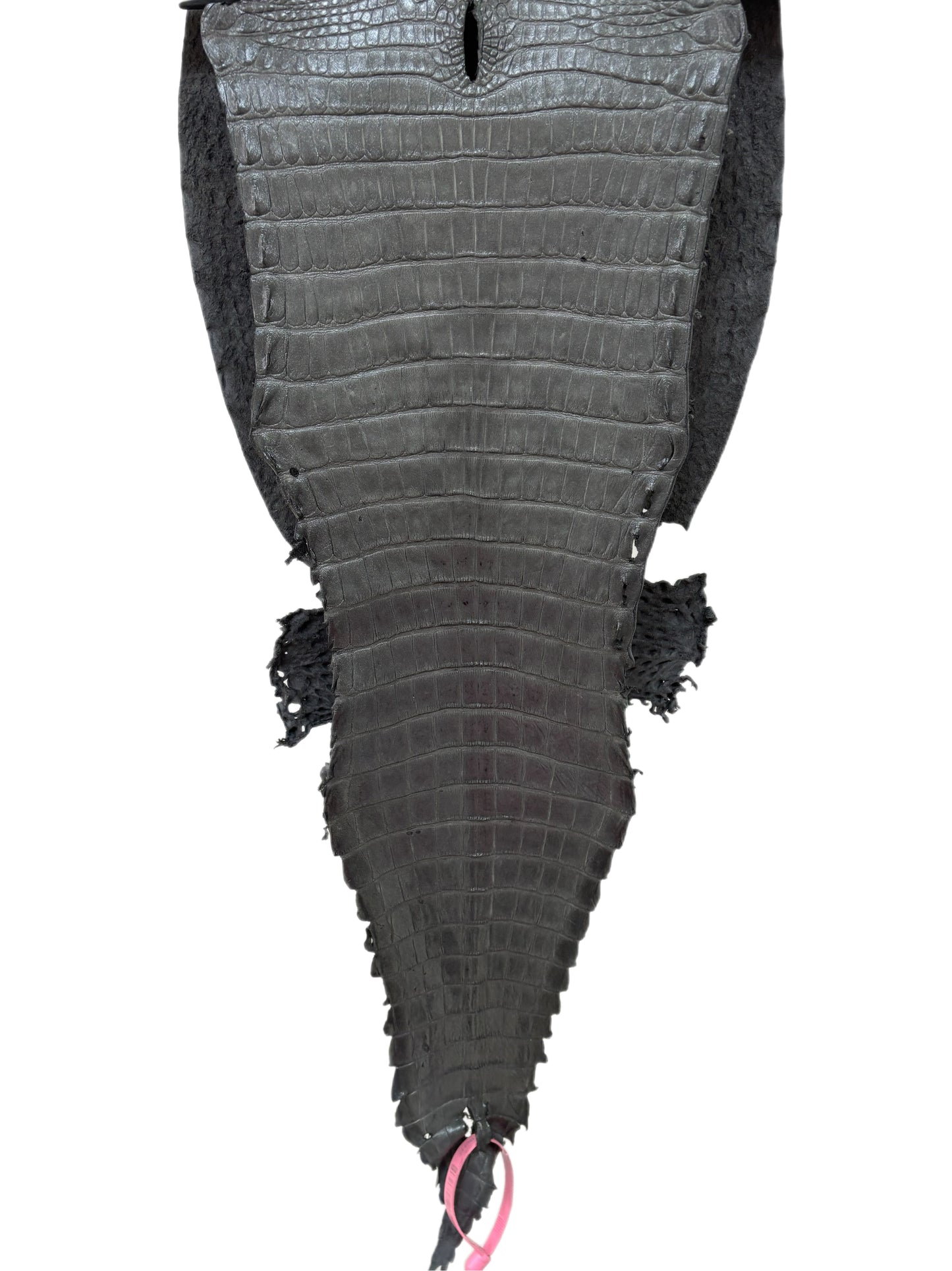 28 cm Grade 2/3 Gunmetal Matte Farm-Raised American Alligator Leather - Tag: FL21-0024038