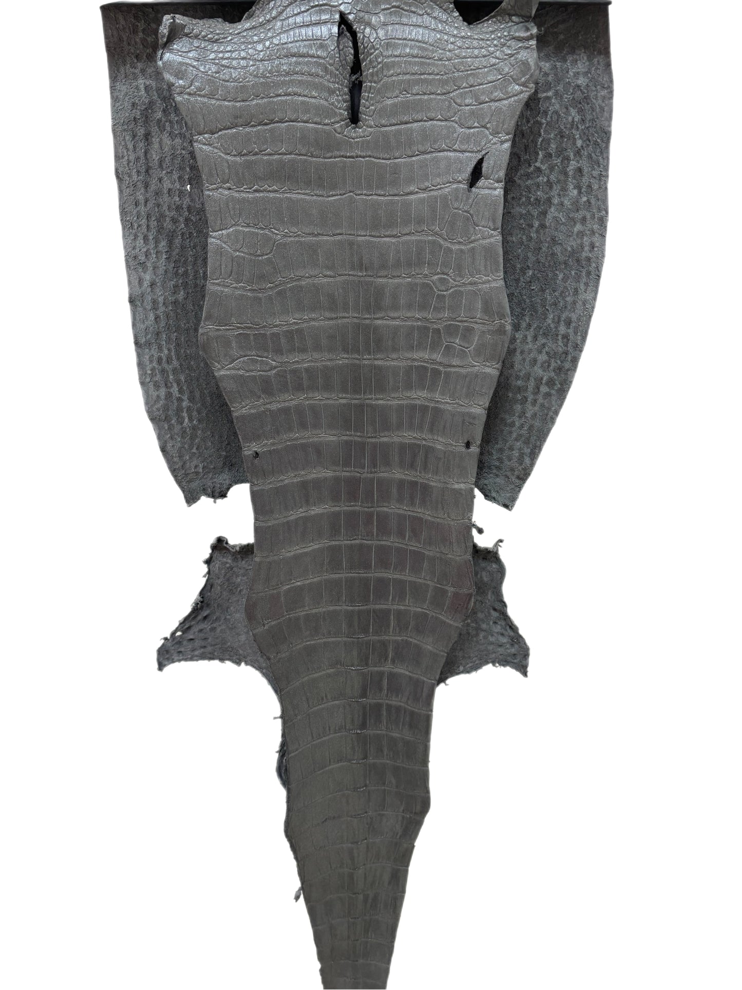 36 cm Grade 2/3 Gunmetal Matte Wild American Alligator Leather - Tag: LA23-0051949