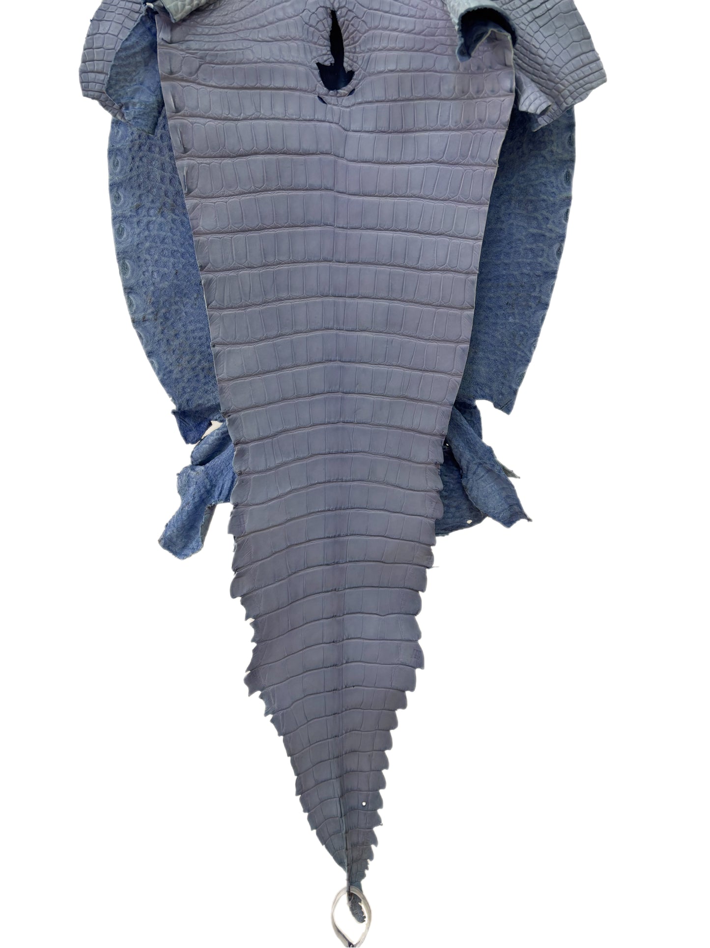 37 cm Grade 2/3 Carolina Blue Matte Farm-Raised American Alligator Leather - Tag: LA17-0279282