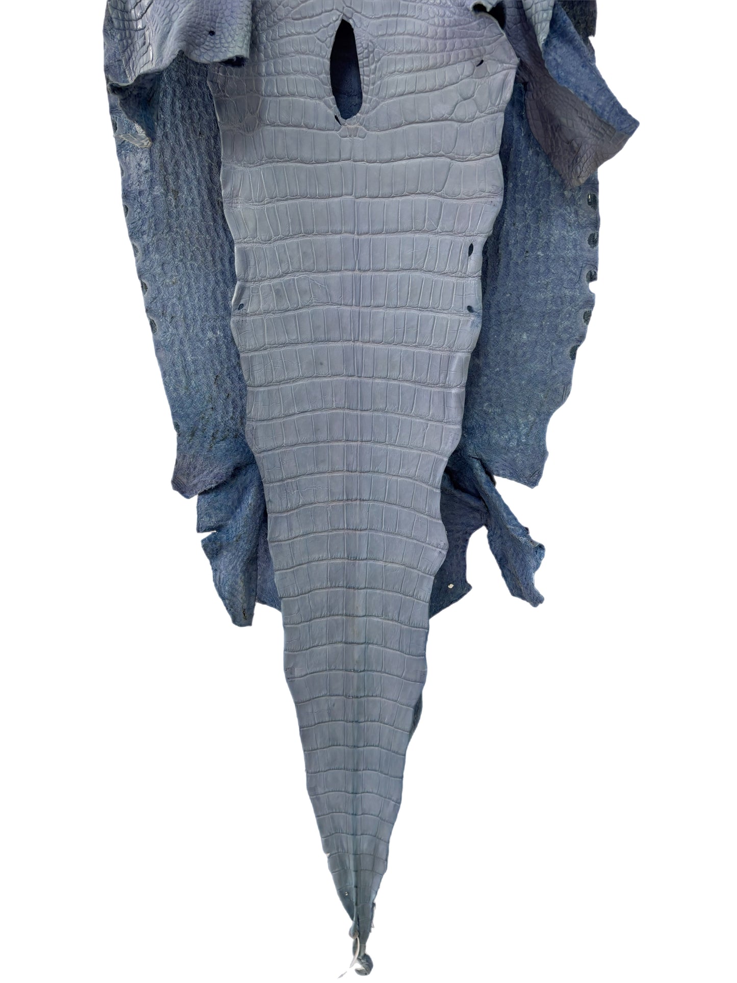 41 cm Grade 3/4 Carolina Blue Matte Wild American Alligator Leather - Tag: LA23-0017970