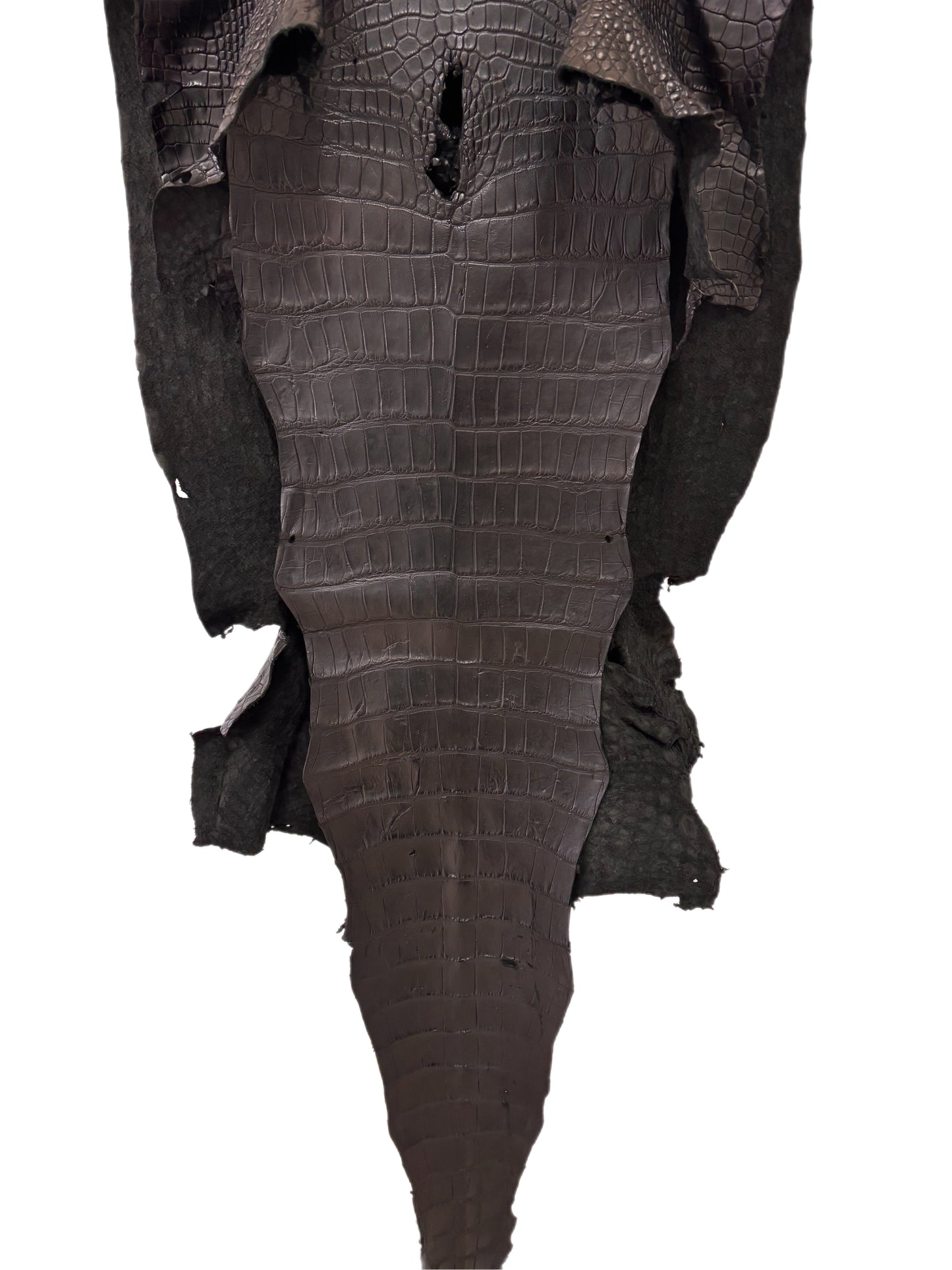 51 cm Grade 3/4 Black Matte Wild American Alligator Leather - Tag: LA23-0010983