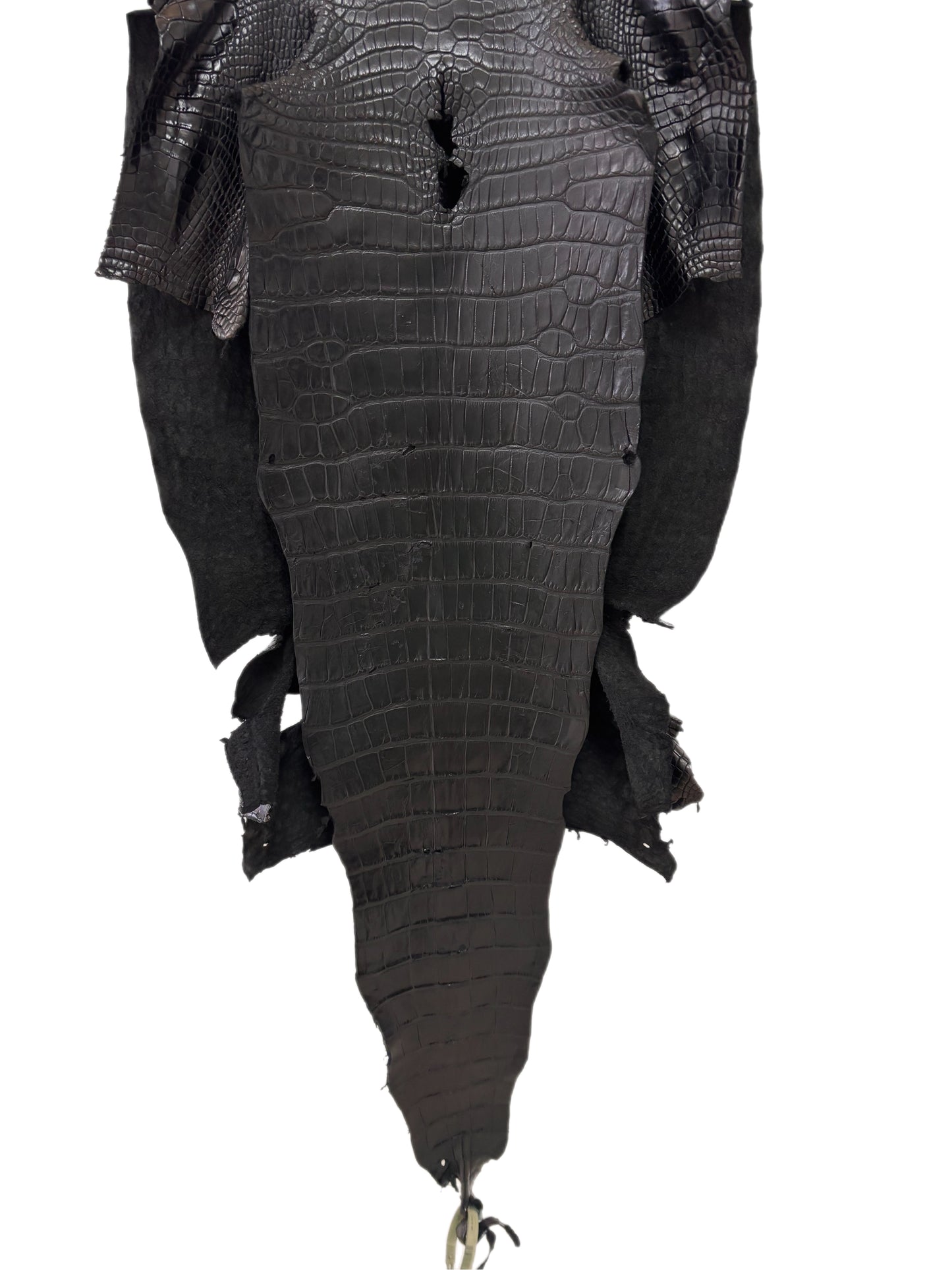 43 cm Grade 3/4 Black Matte Wild American Alligator Leather - Tag: LA23-0051518