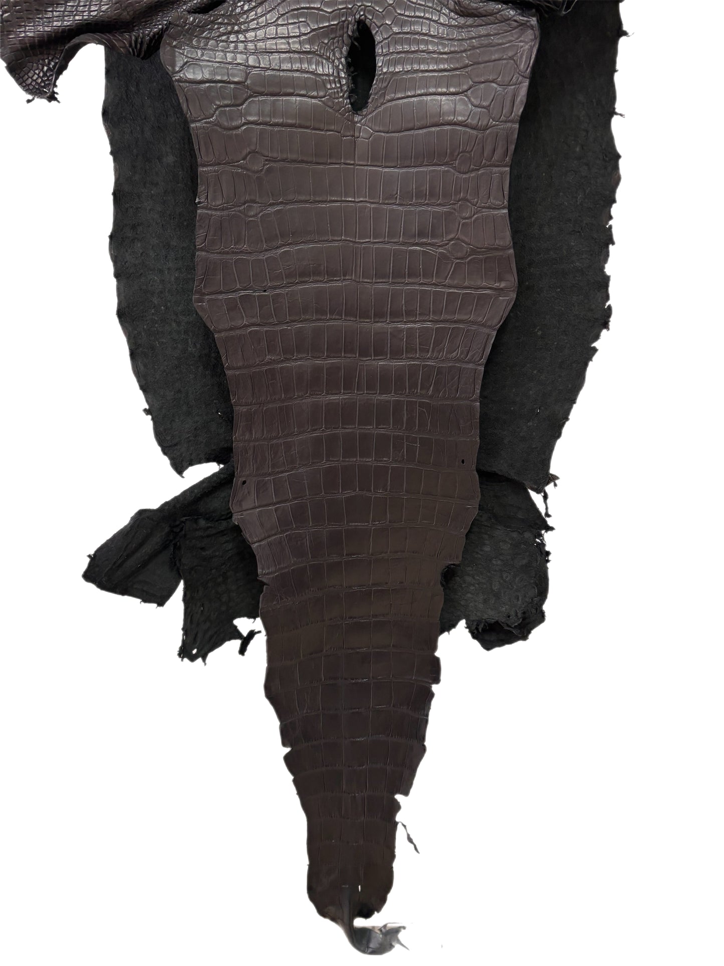 51 cm Grade 2/3 Black Matte Wild American Alligator Leather - Tag: LA23-0004637